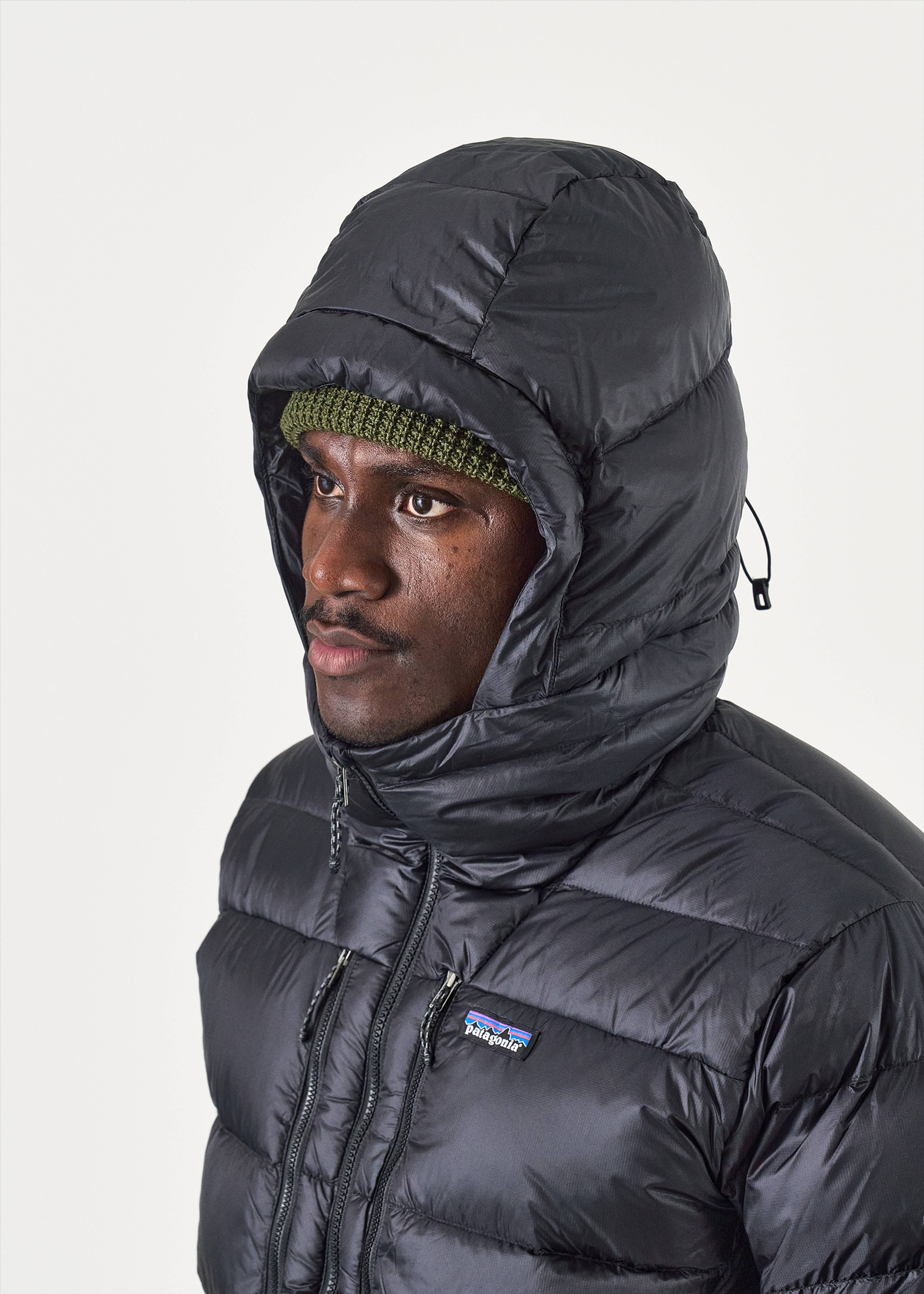 Patagonia Fitz Roy Down Hoodie