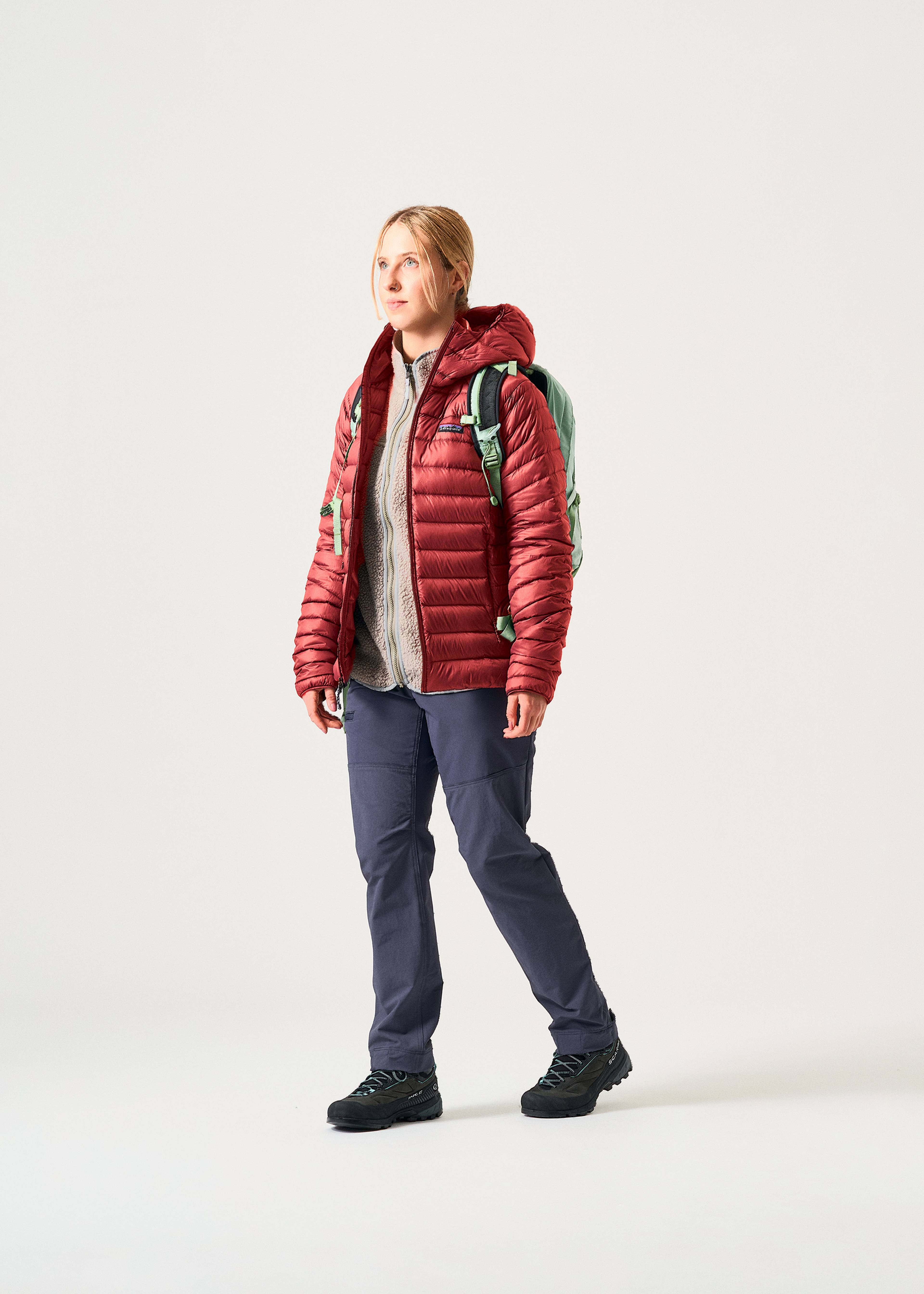 Patagonia Down Sweater Hoodie