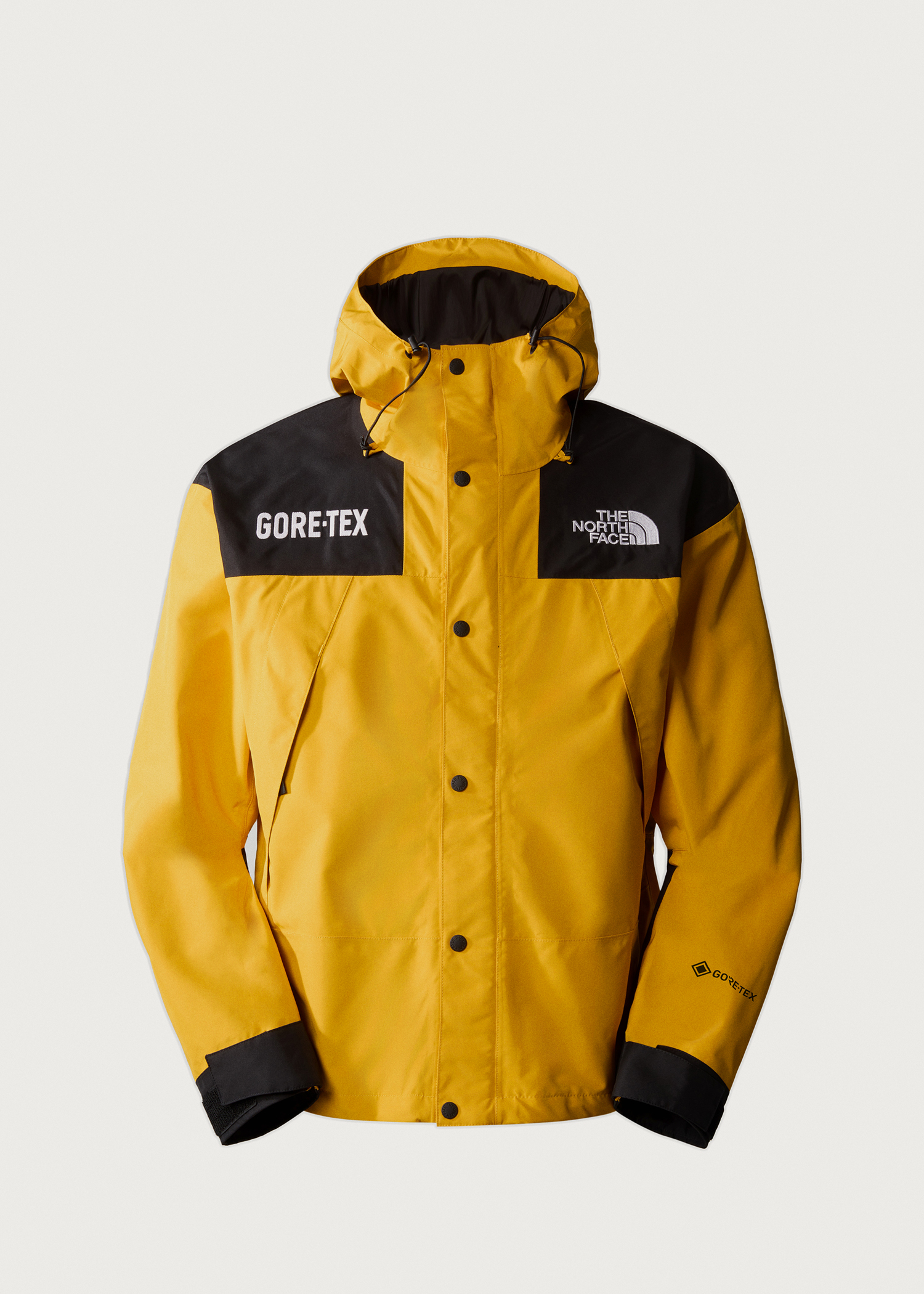 The North Face Mountain GORE-TEX Jacket