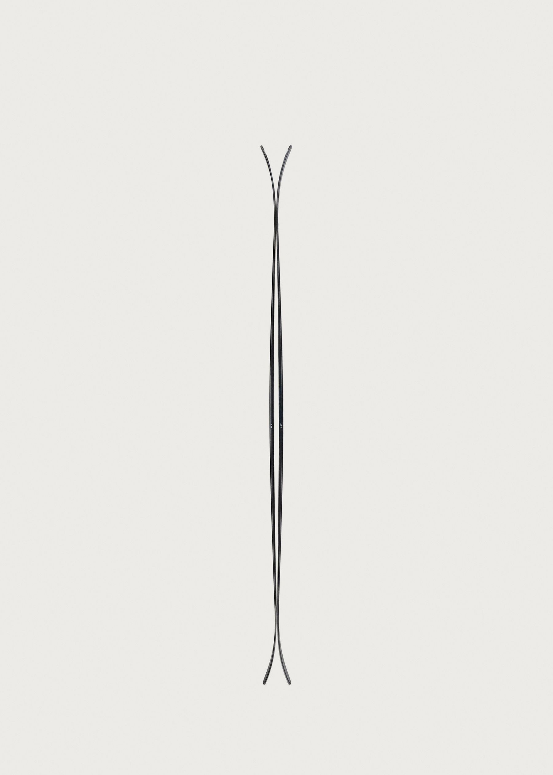 Image - 3 - ARV 100 Skis