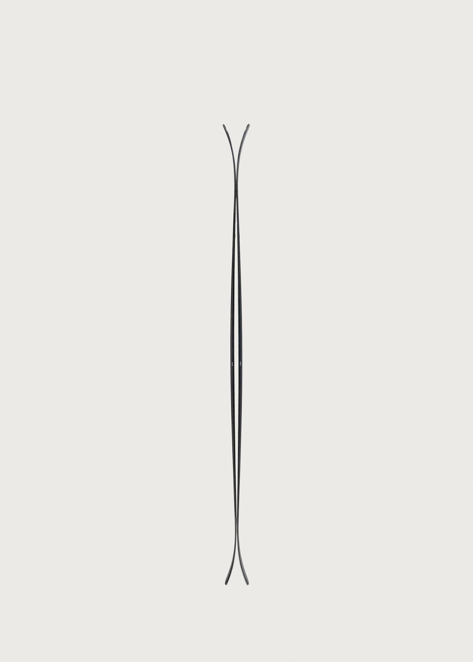 Image - 3 - ARV 100 Skis