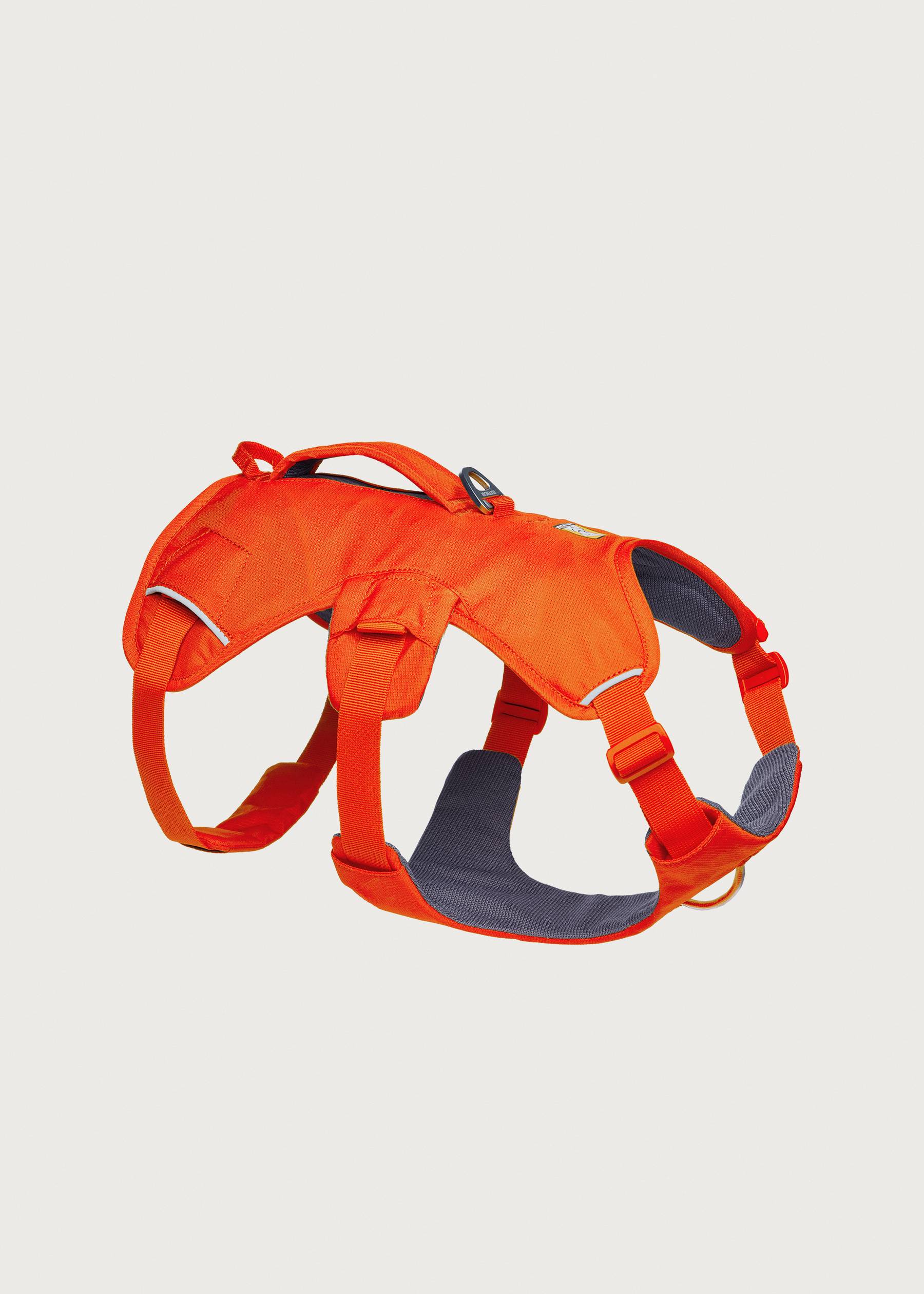 Image - 2 - Web Master Harness