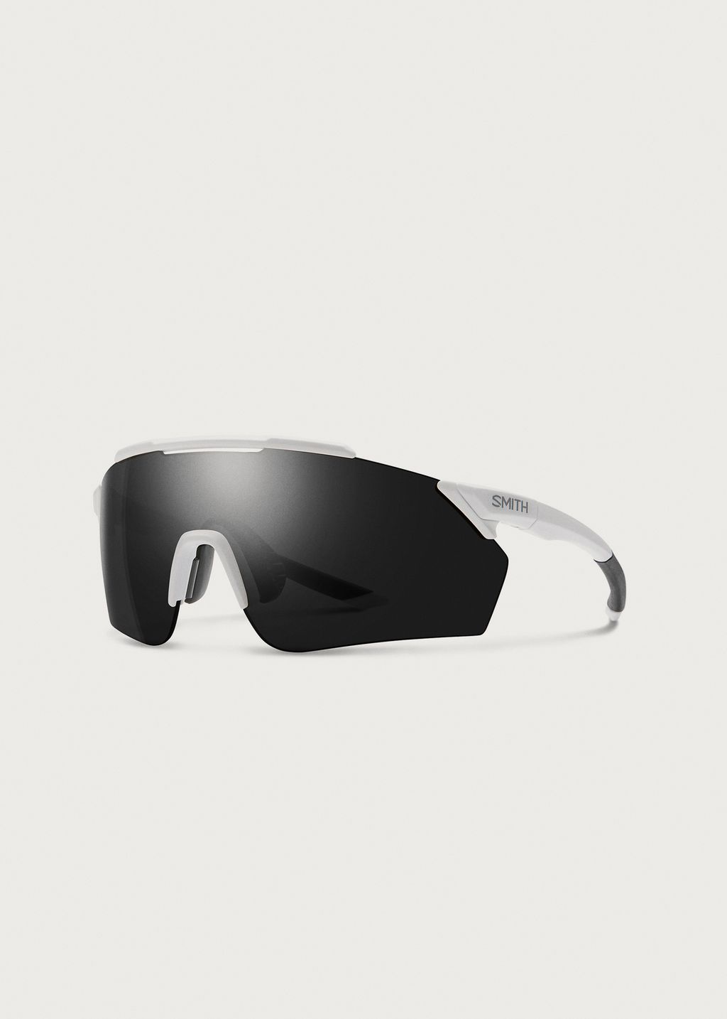 Smith Ruckus PivLock Sunglasses