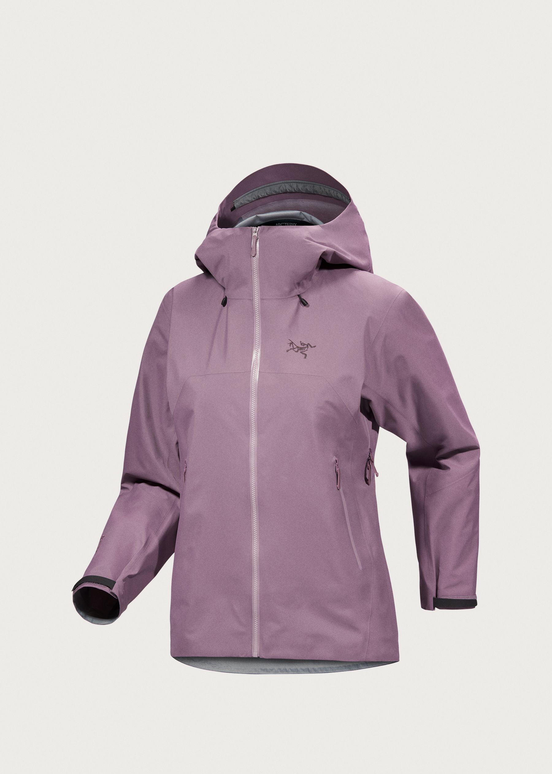 Image - 1 - Beta SL GORE-TEX Jacket