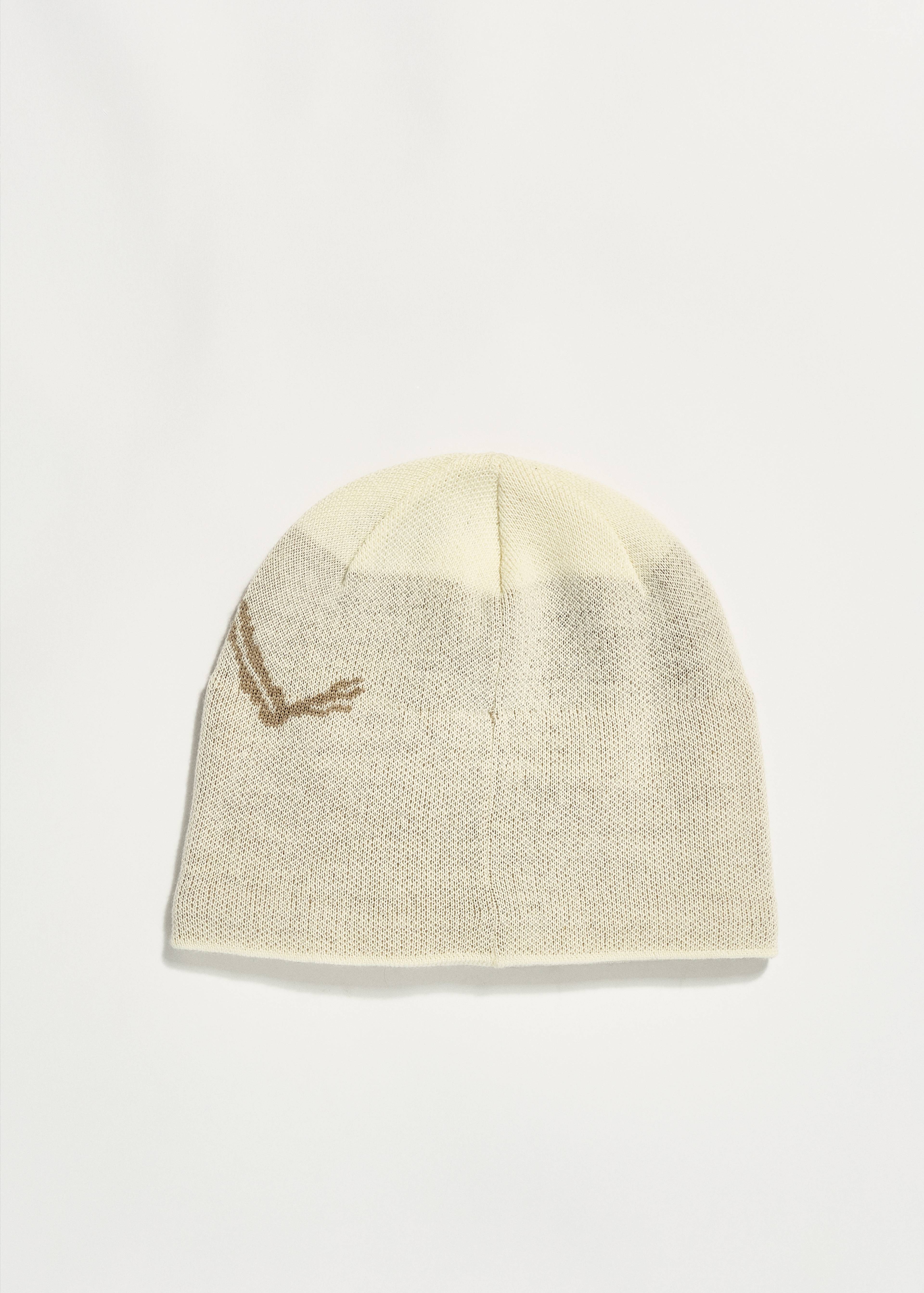 Arc'teryx Bird Head Toque