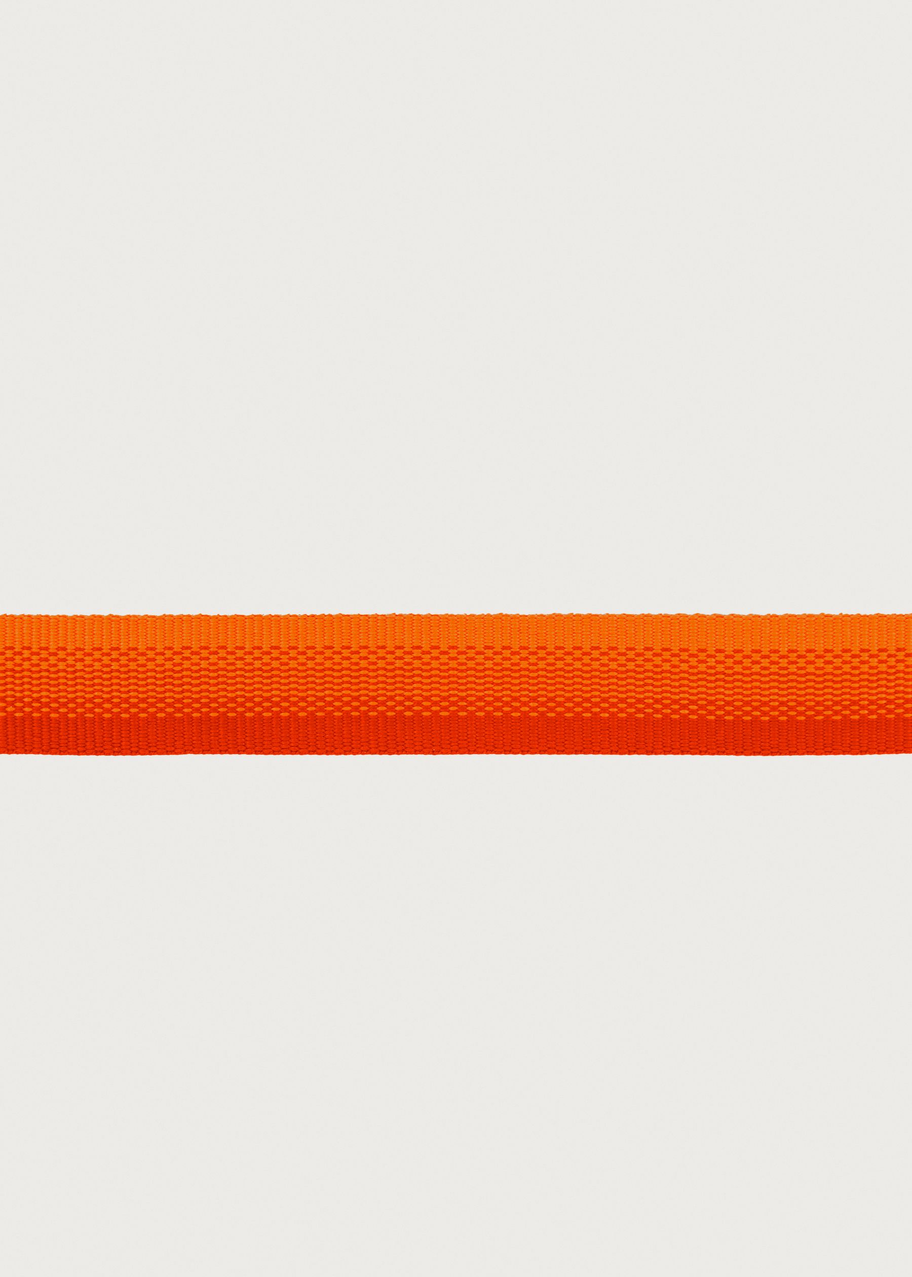 Image - 3 - Front Range Collar