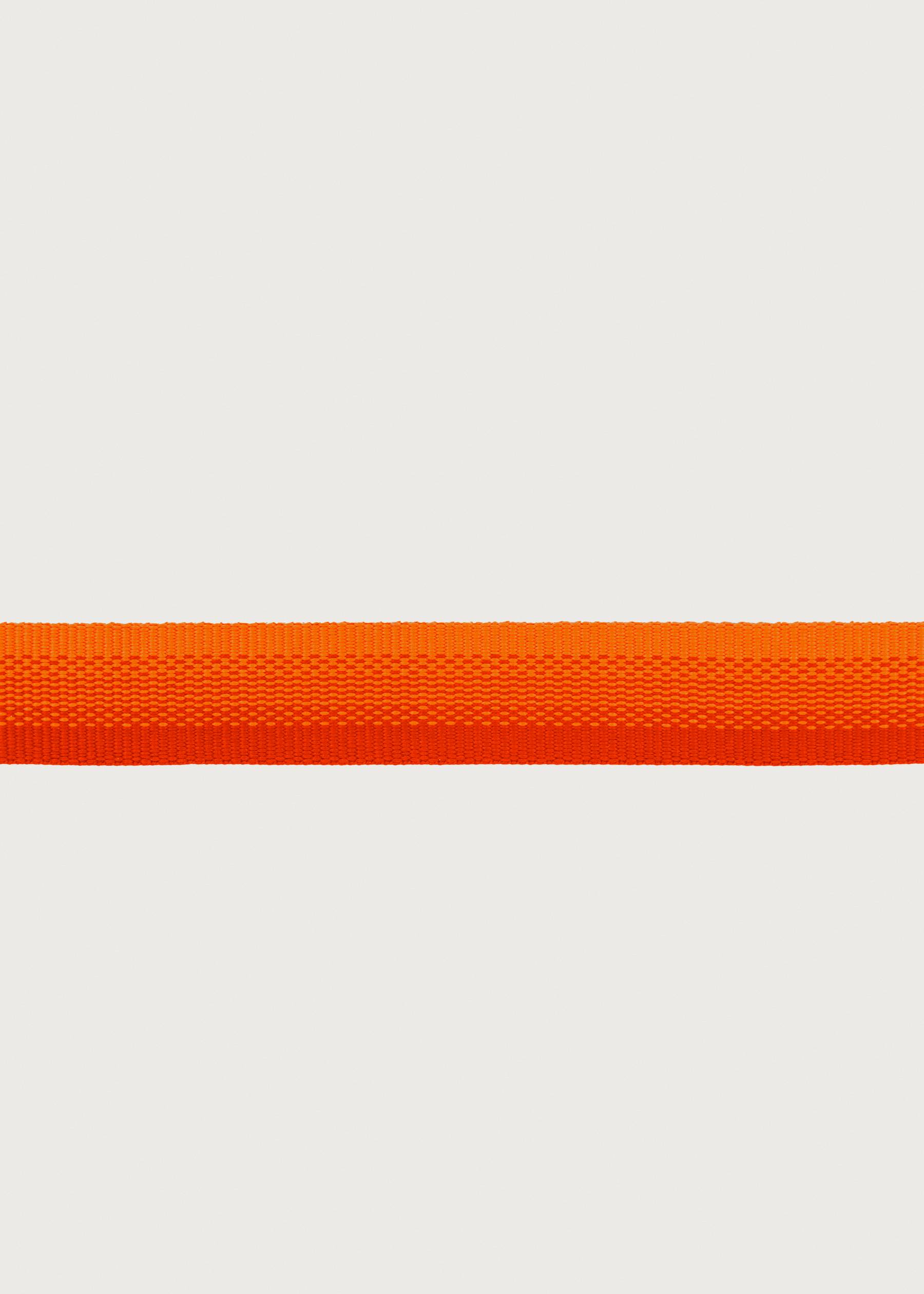 Image - 3 - Front Range Collar