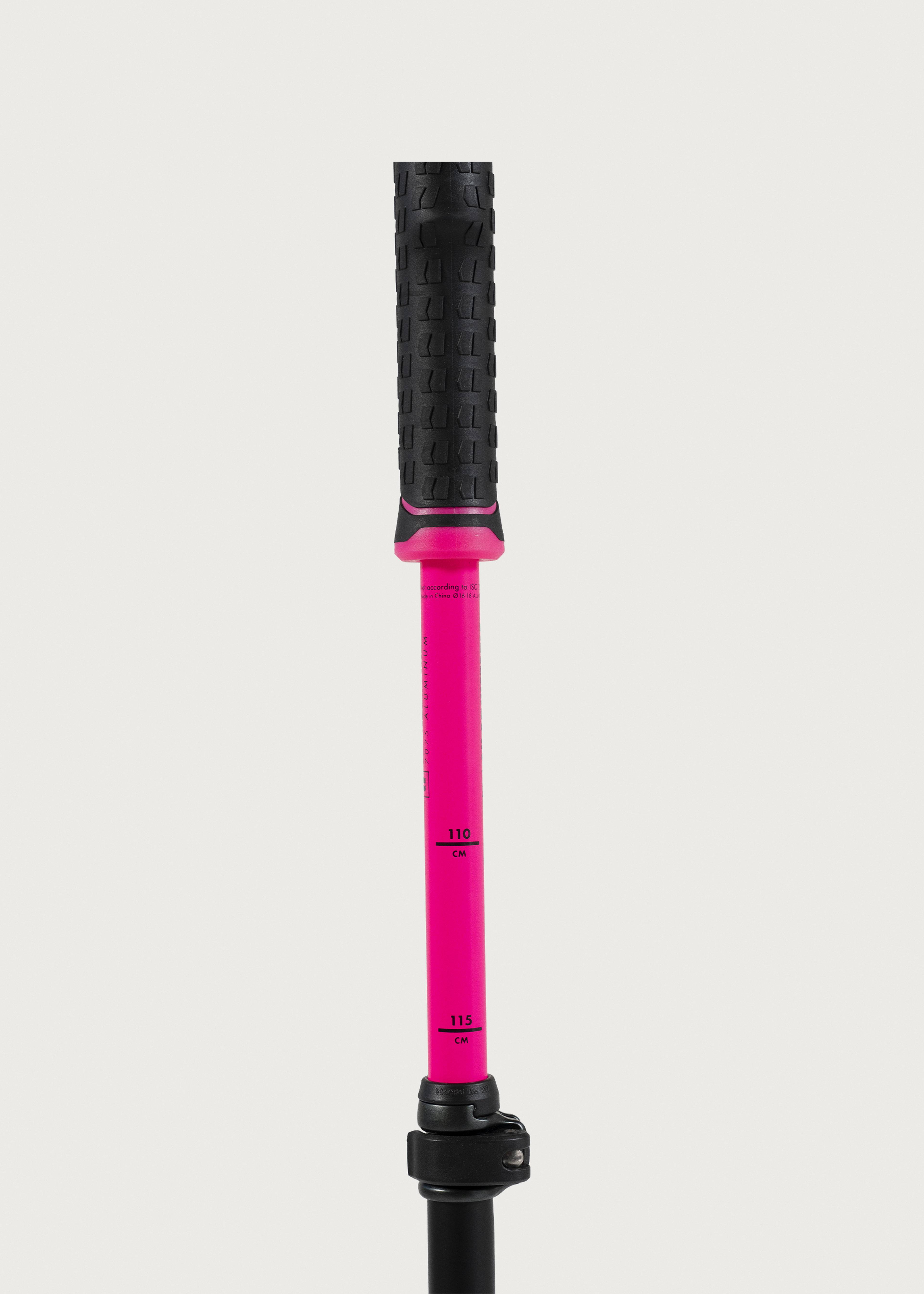 Armada AK Adjustable Ski Poles