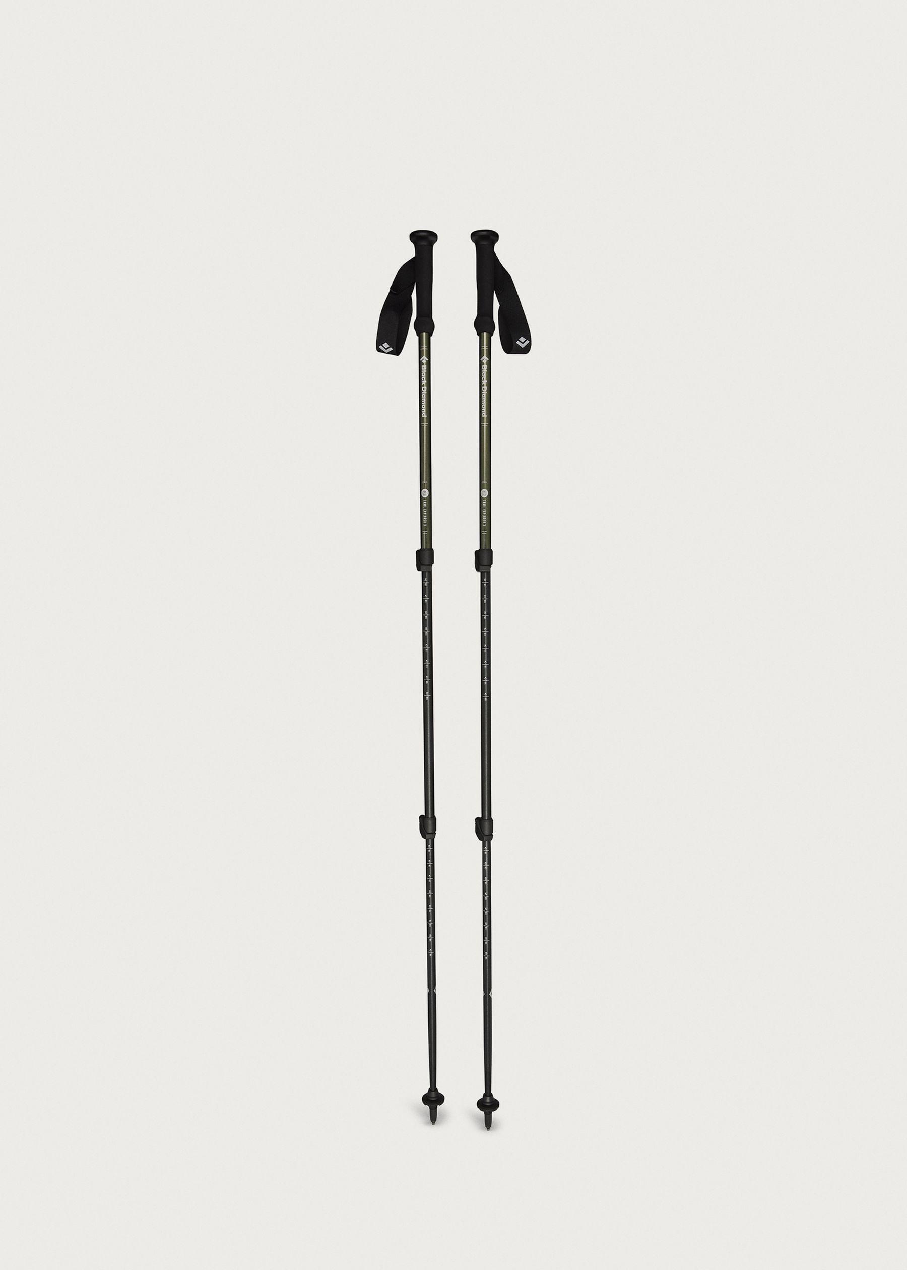 Image - 2 - Explorer 3 Walking Poles