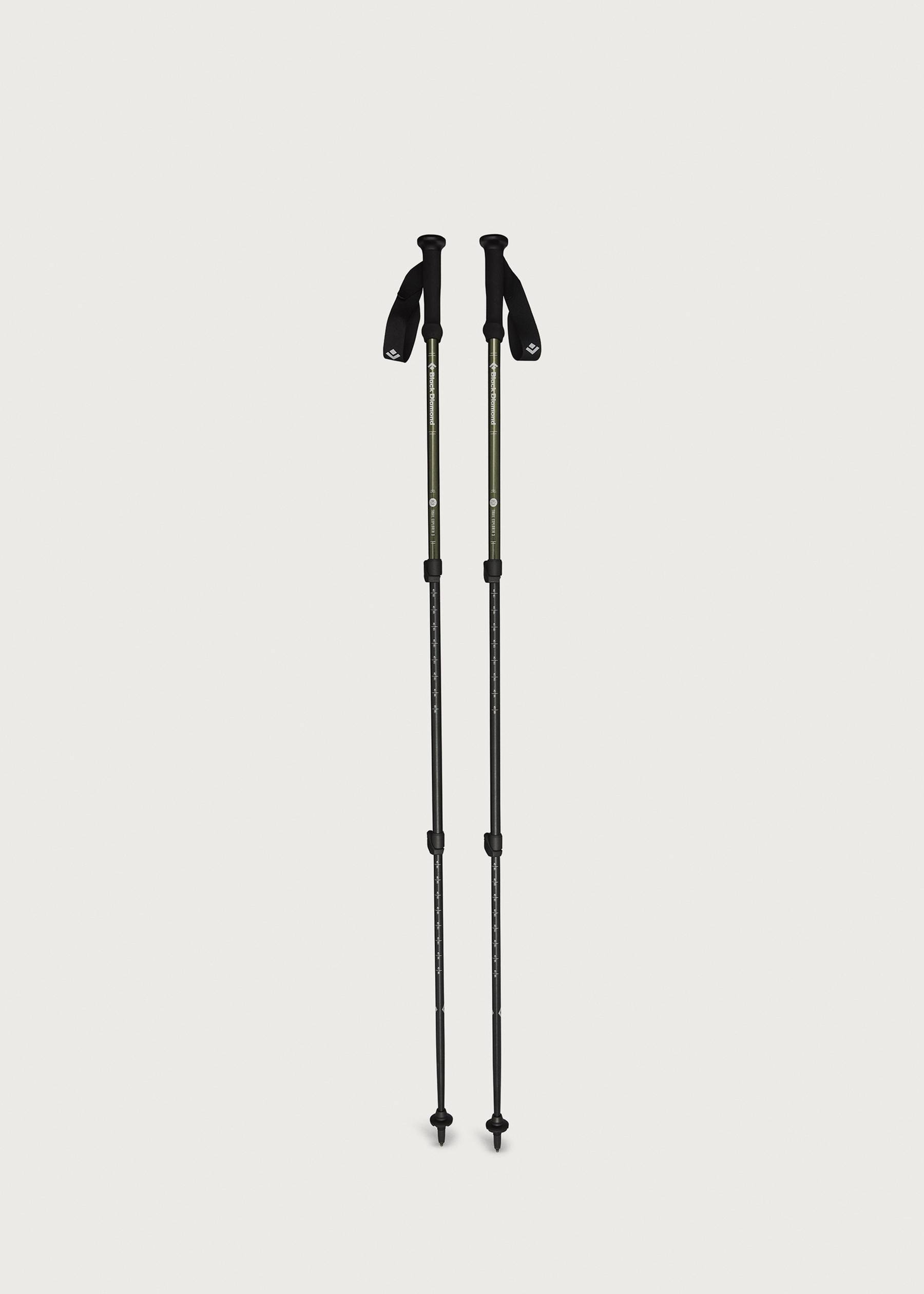 Image - 2 - Explorer 3 Walking Poles