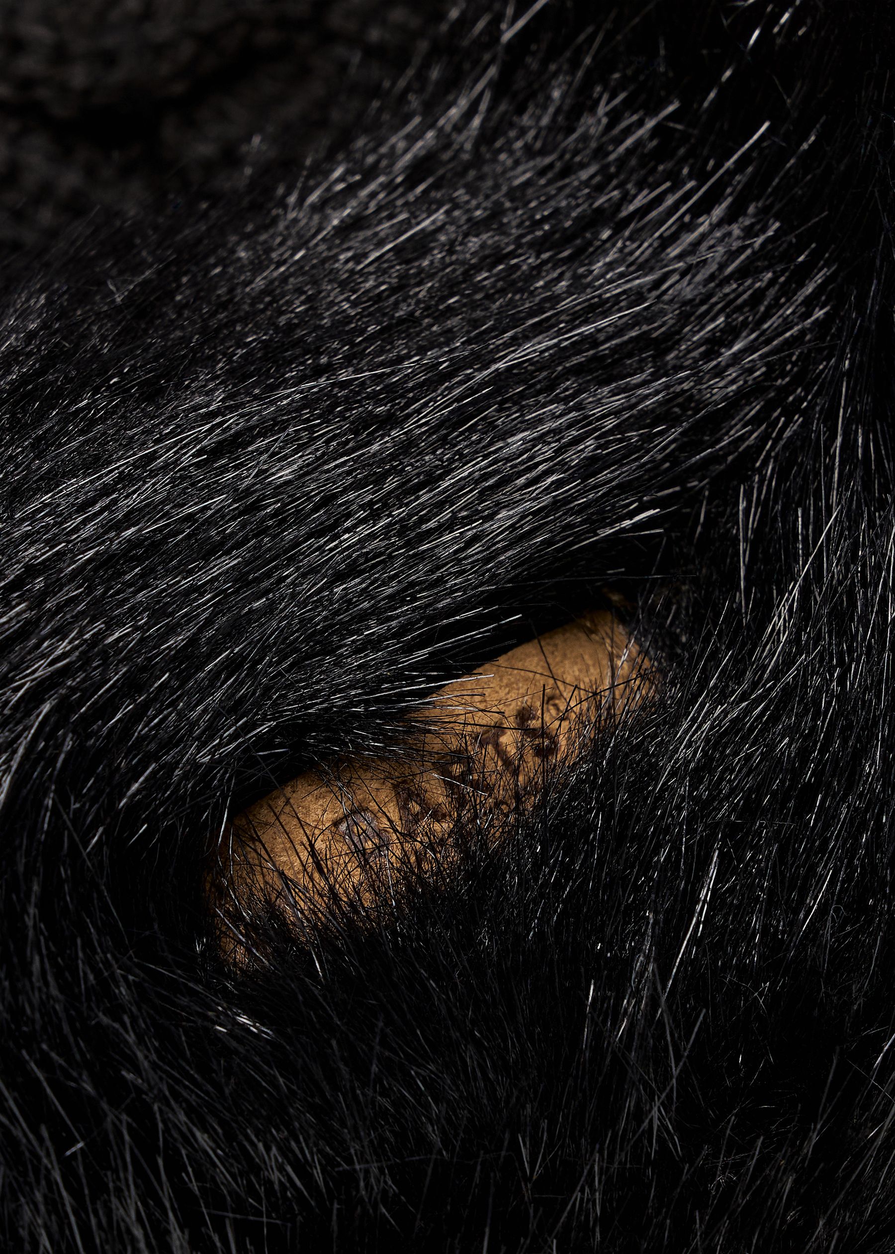 Image - 2 - Fur Cable Bandhat