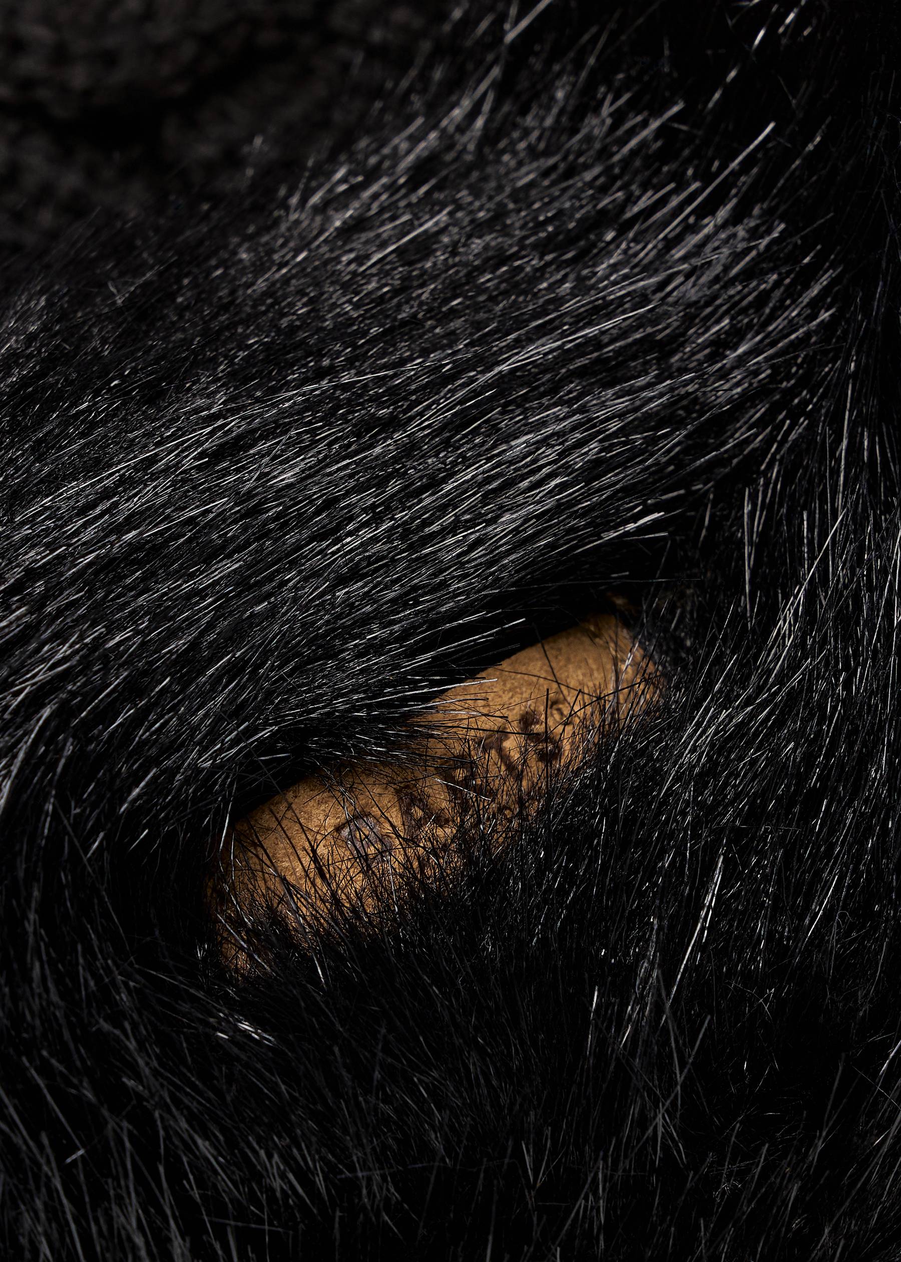 Image - 2 - Fur Cable Bandhat