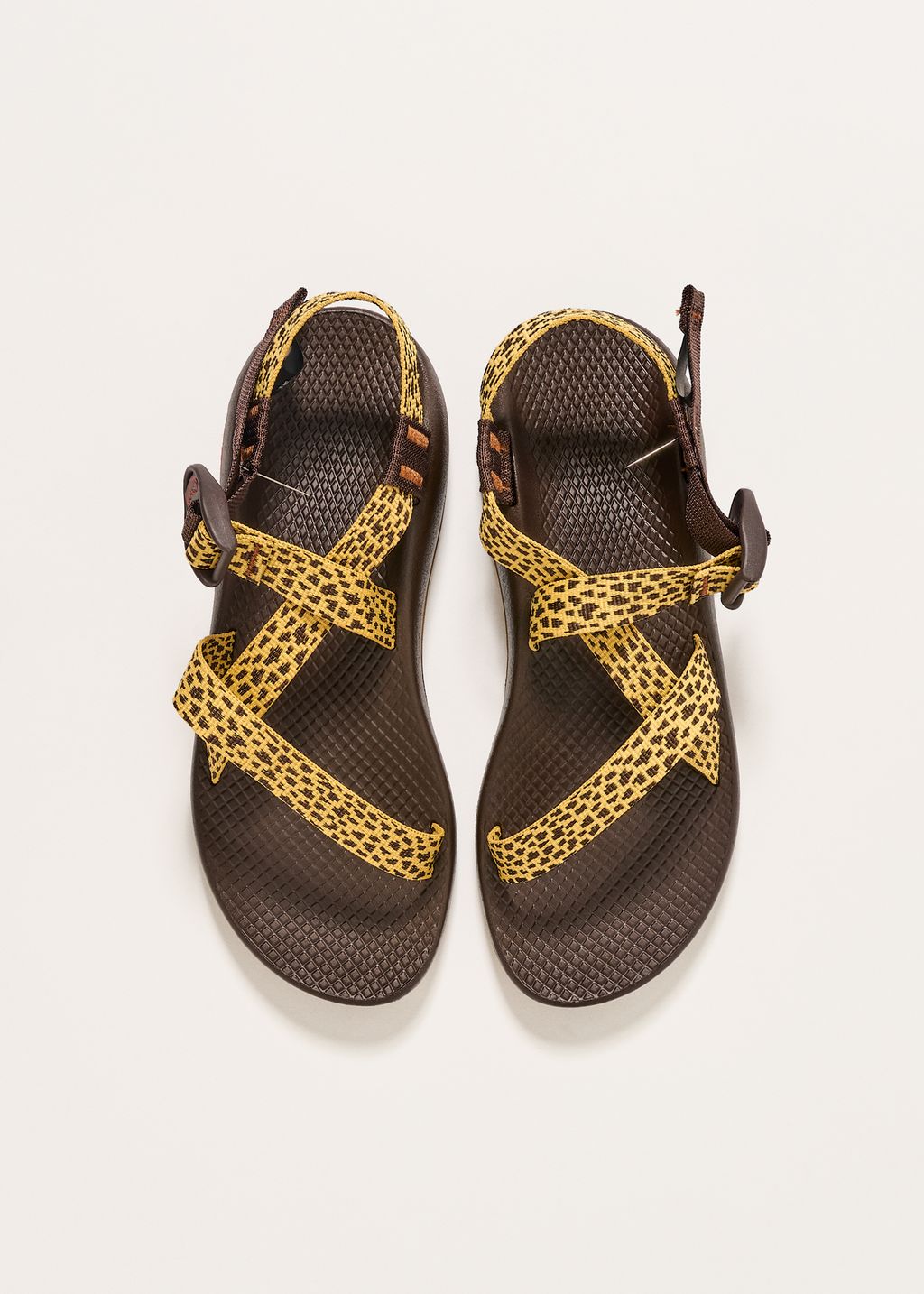 Havaianas Ragazza Chaco Z1 Classic Sandal In Desert Rose Z /Paws