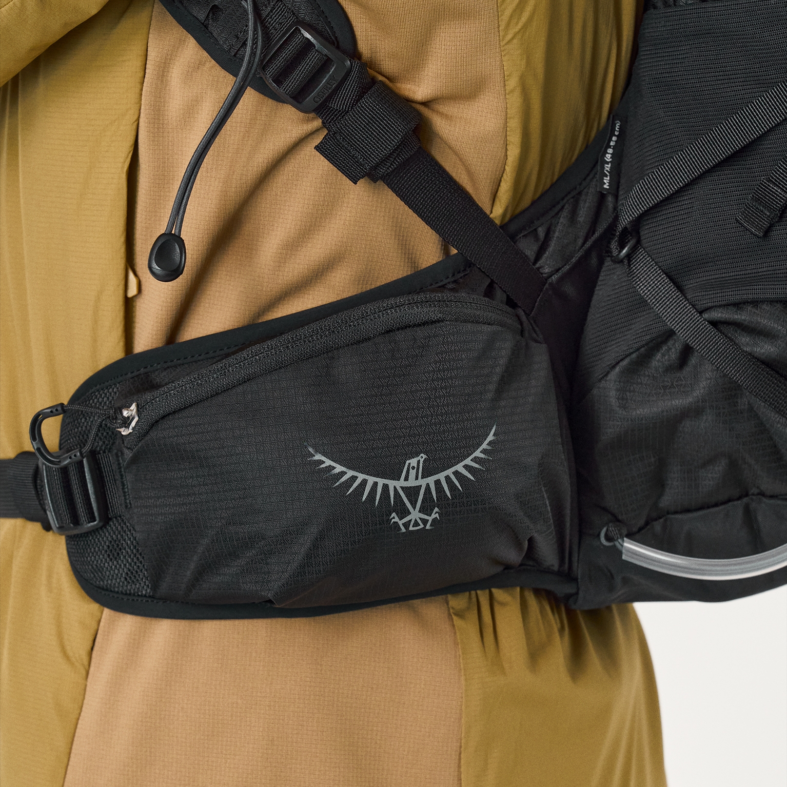 Image of Hip belt
