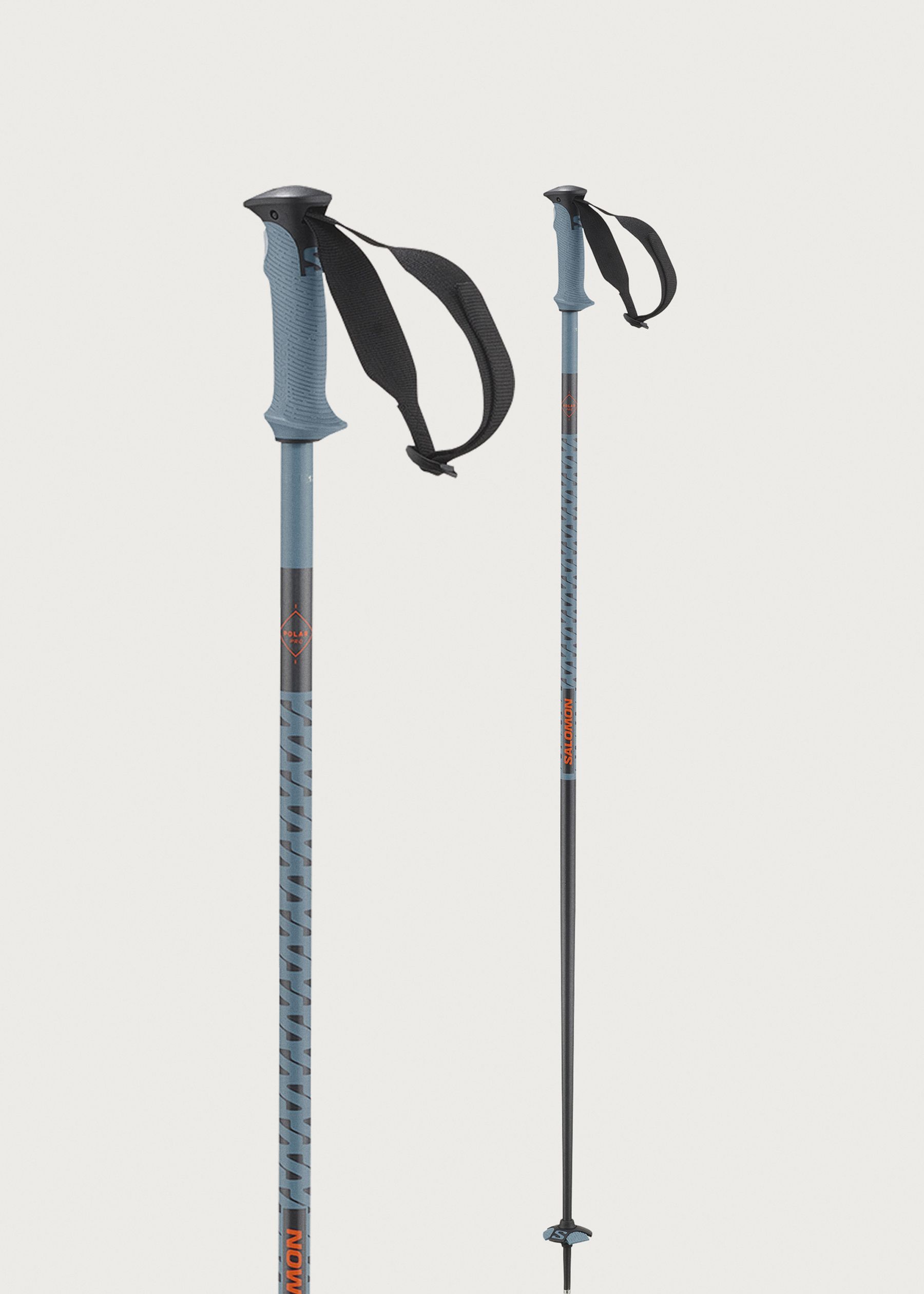 Image - 1 - Polar Pro Ski Poles