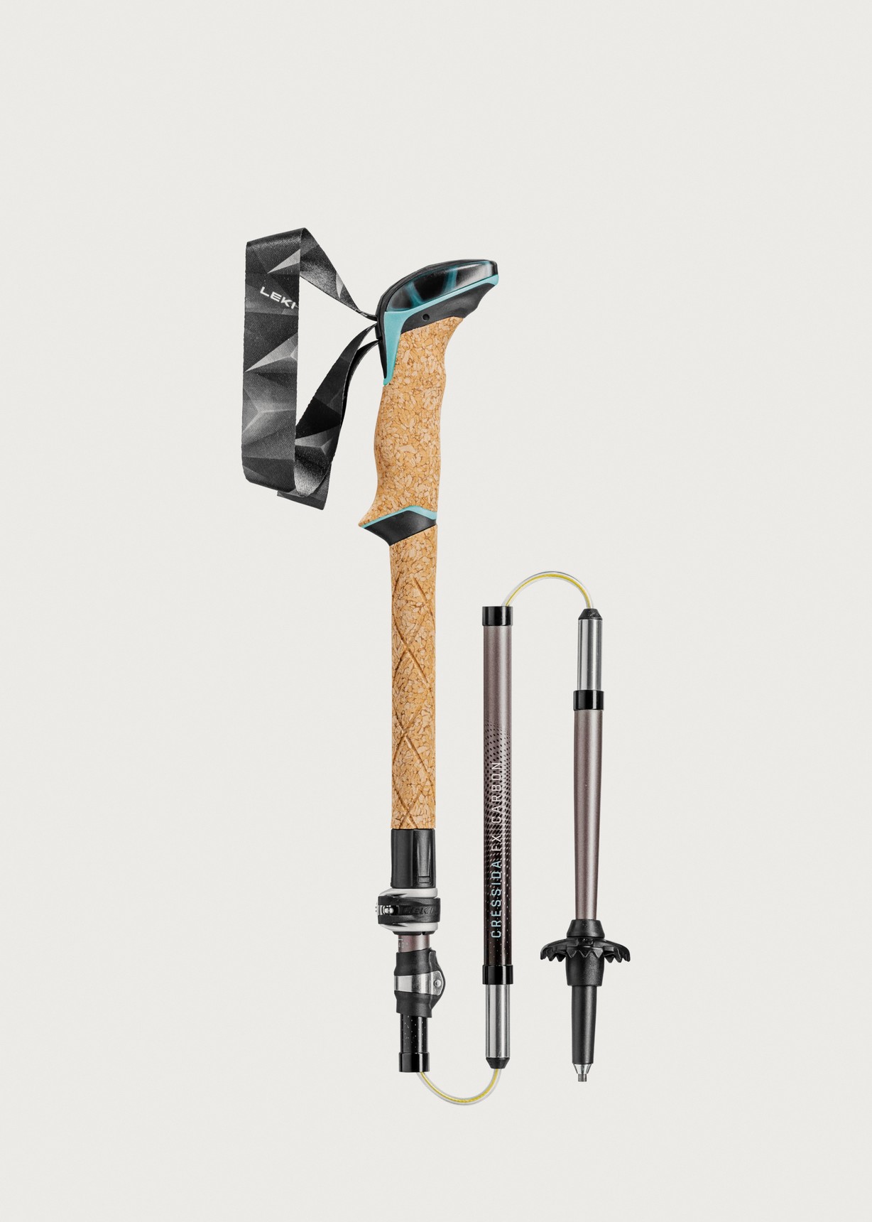 Leki World Cup Closed Gate Guard