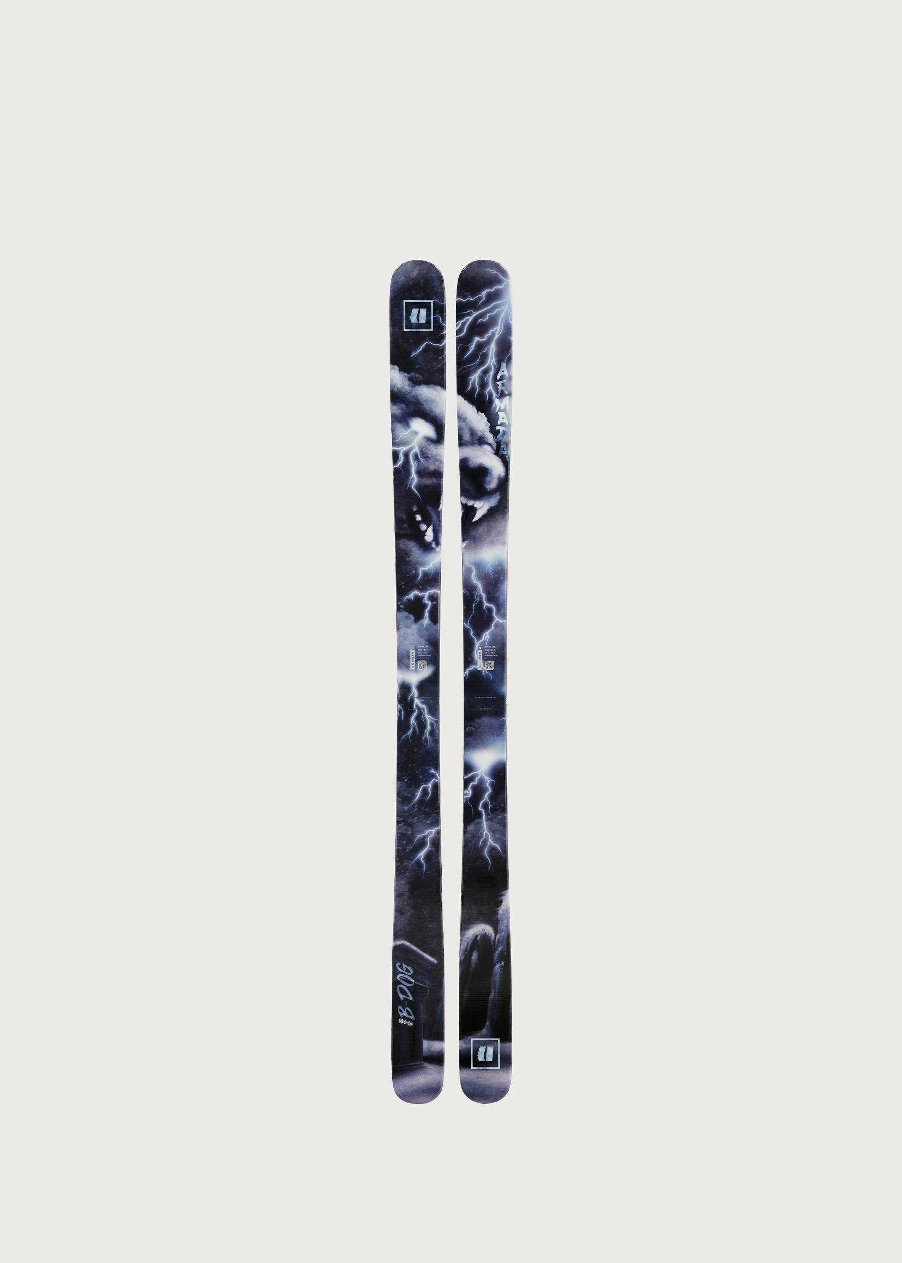 Image - 3 - BDOG 94 Skis