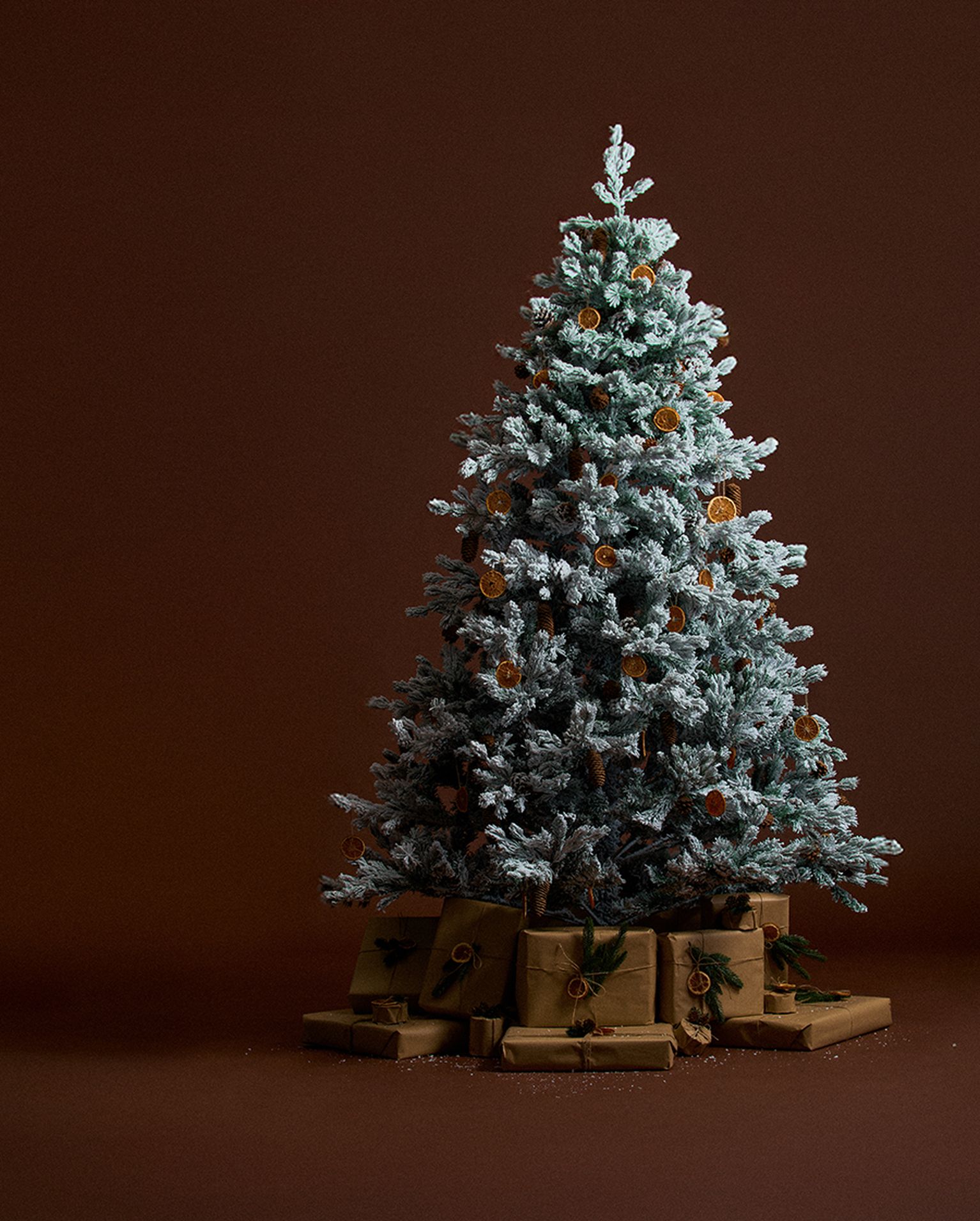 Adventure starts under the tree