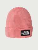Kids TNF Logo Box Cuffed Beanie