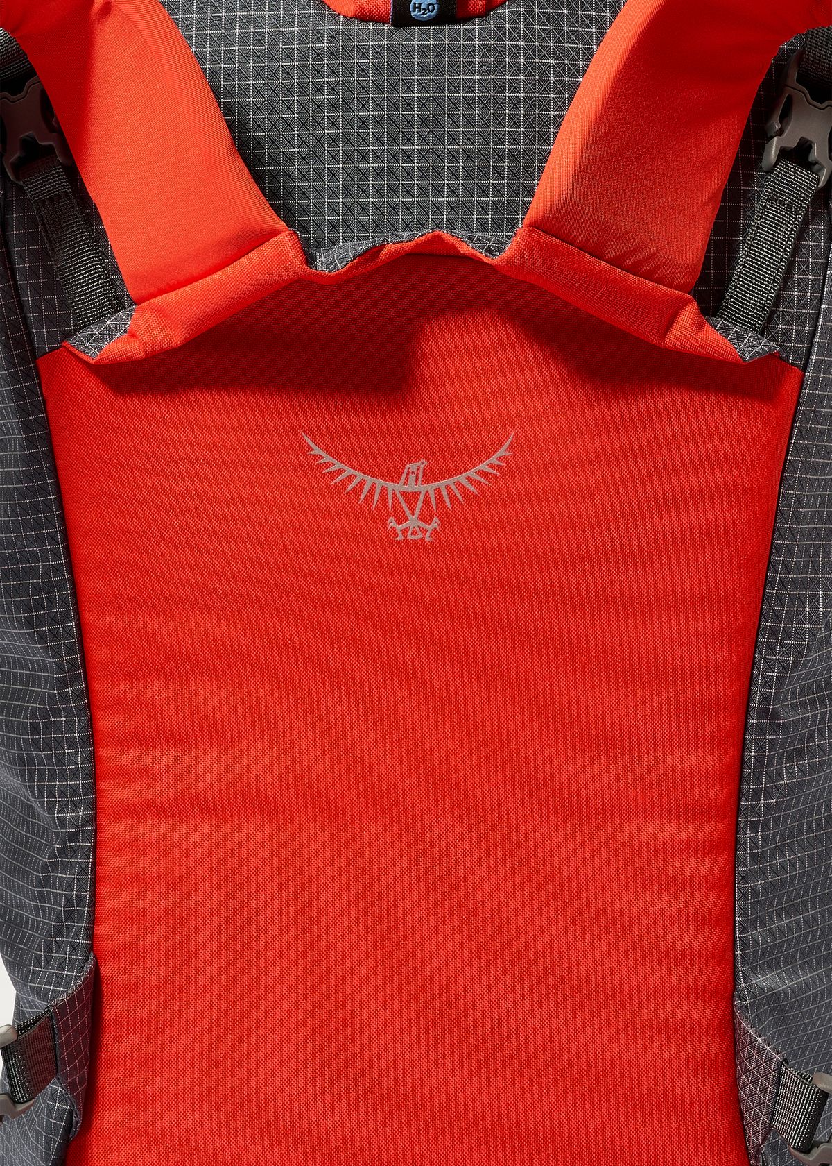 Snow-shedding back panel