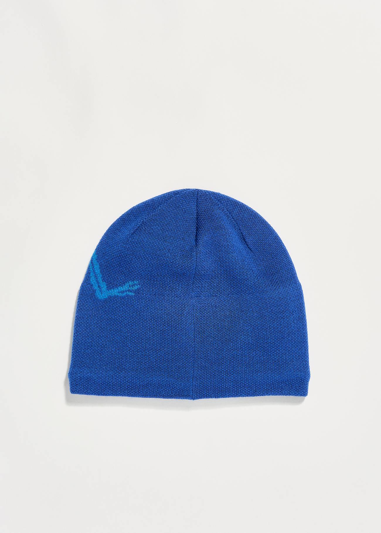 Arc'teryx Bird Head Toque