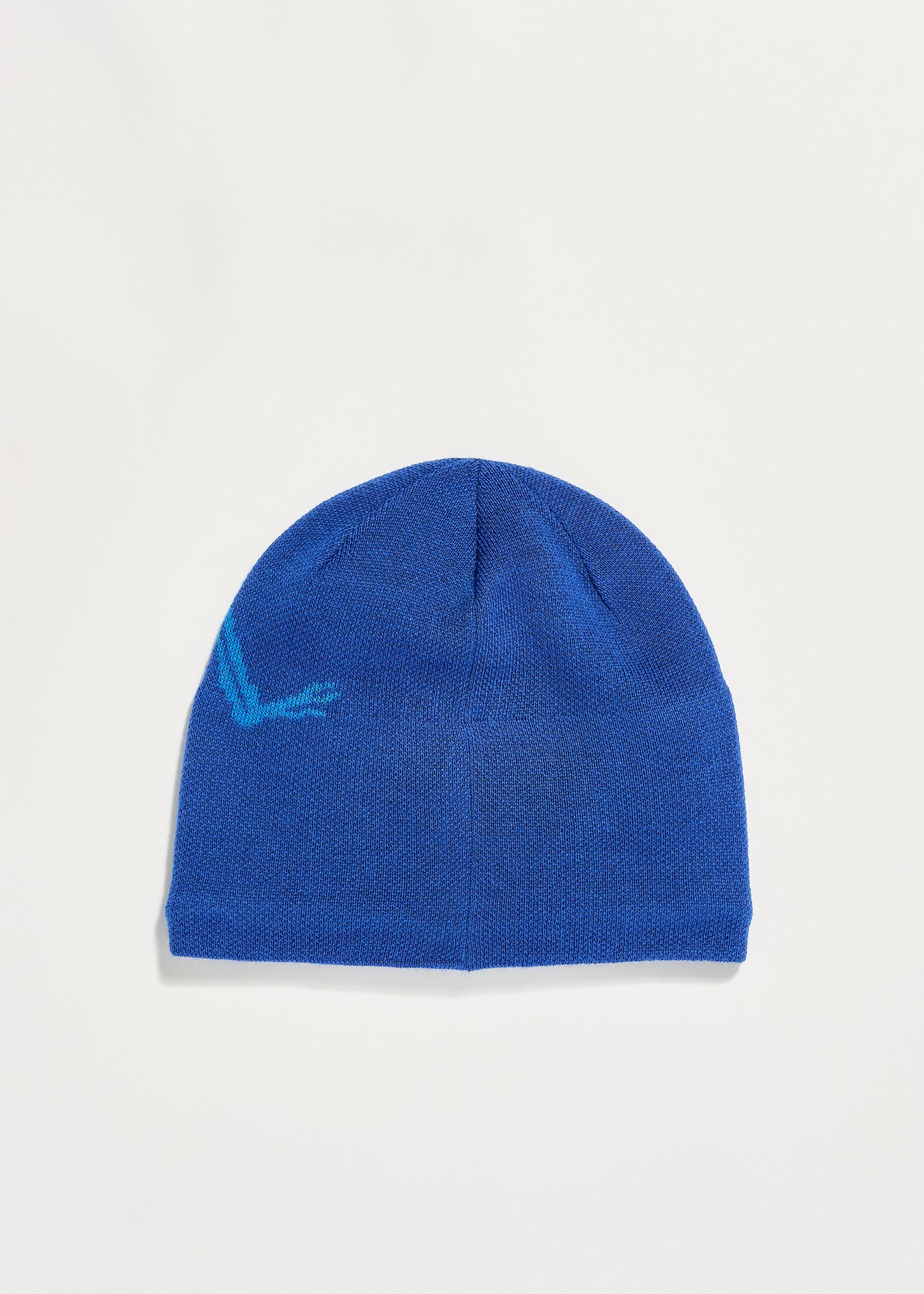 Arc'teryx Bird Head Toque