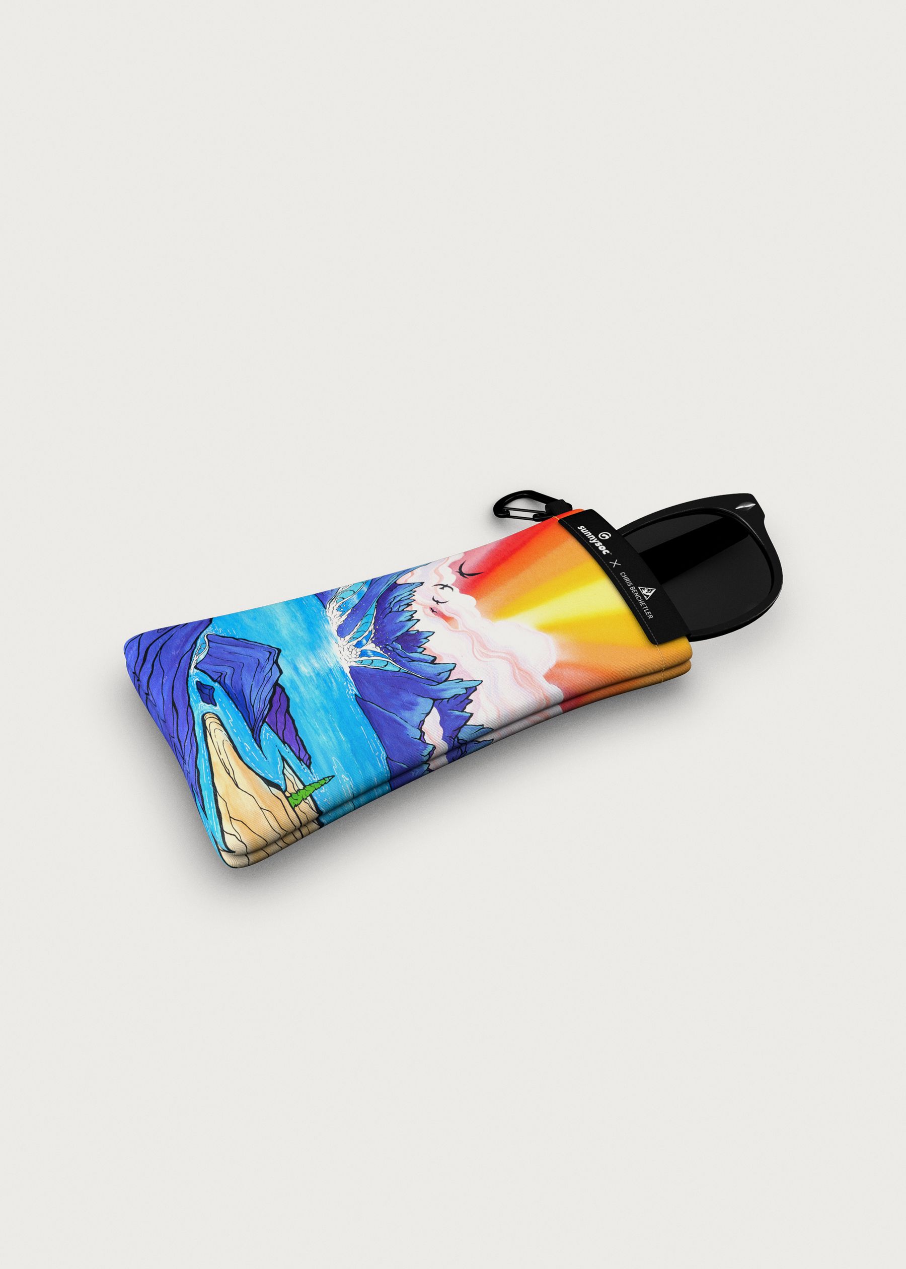 Image - 3 - Sunnysoc Phylogenetic Parallel Sunglasses Case