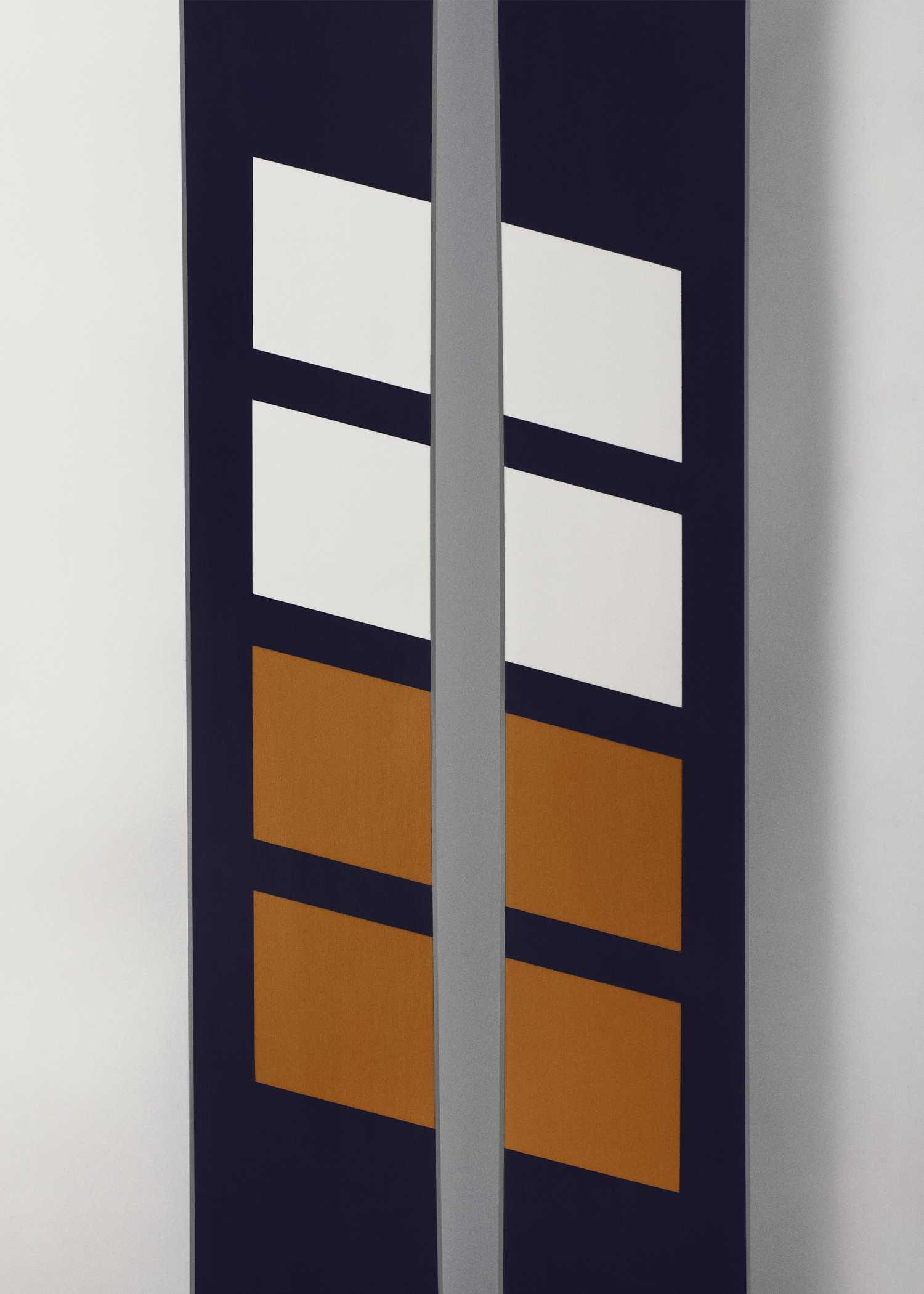 Candide Resort 101 Skis