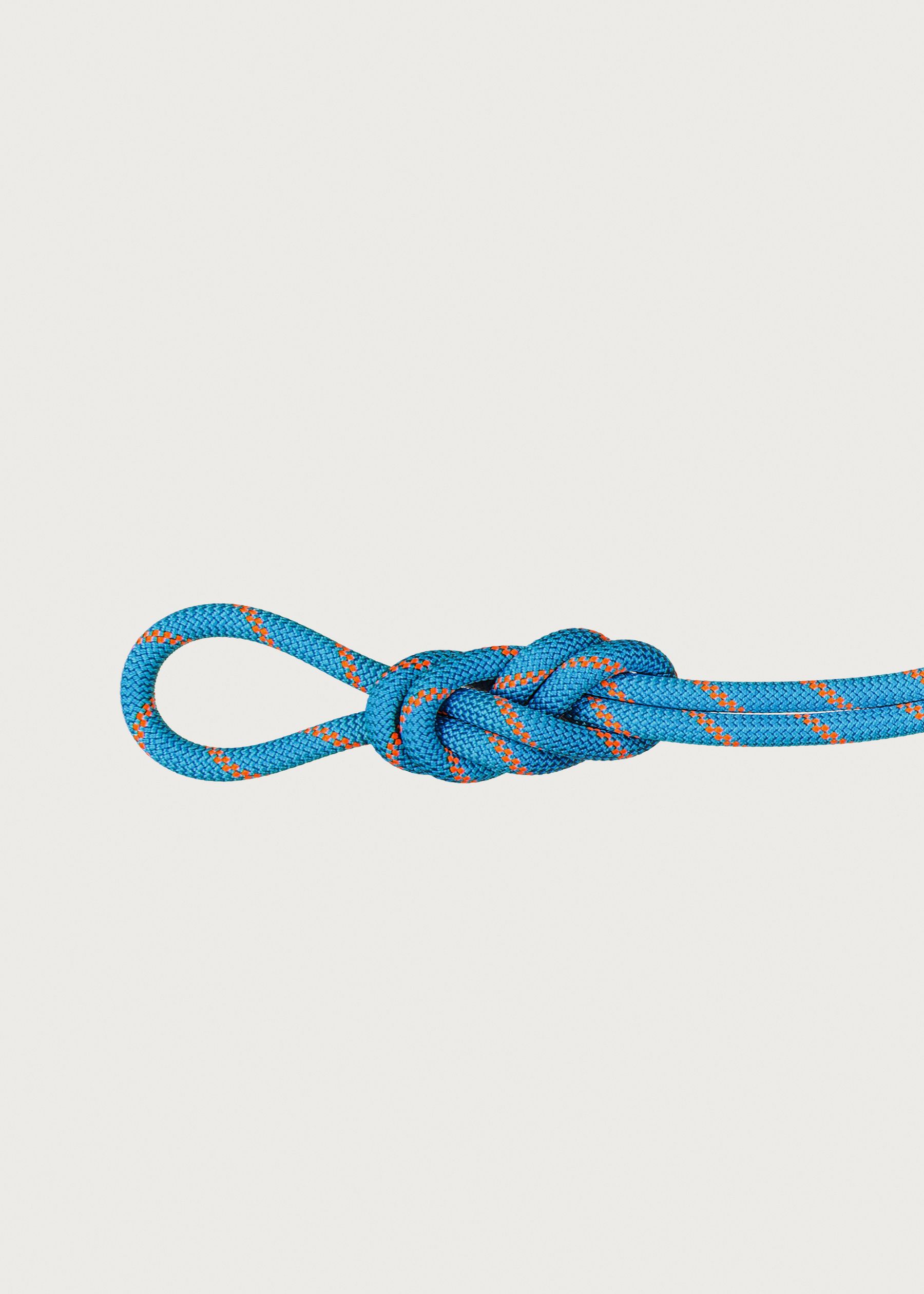 Image - 1 - Alpine Sender Dry 8.7 x 60 Rope