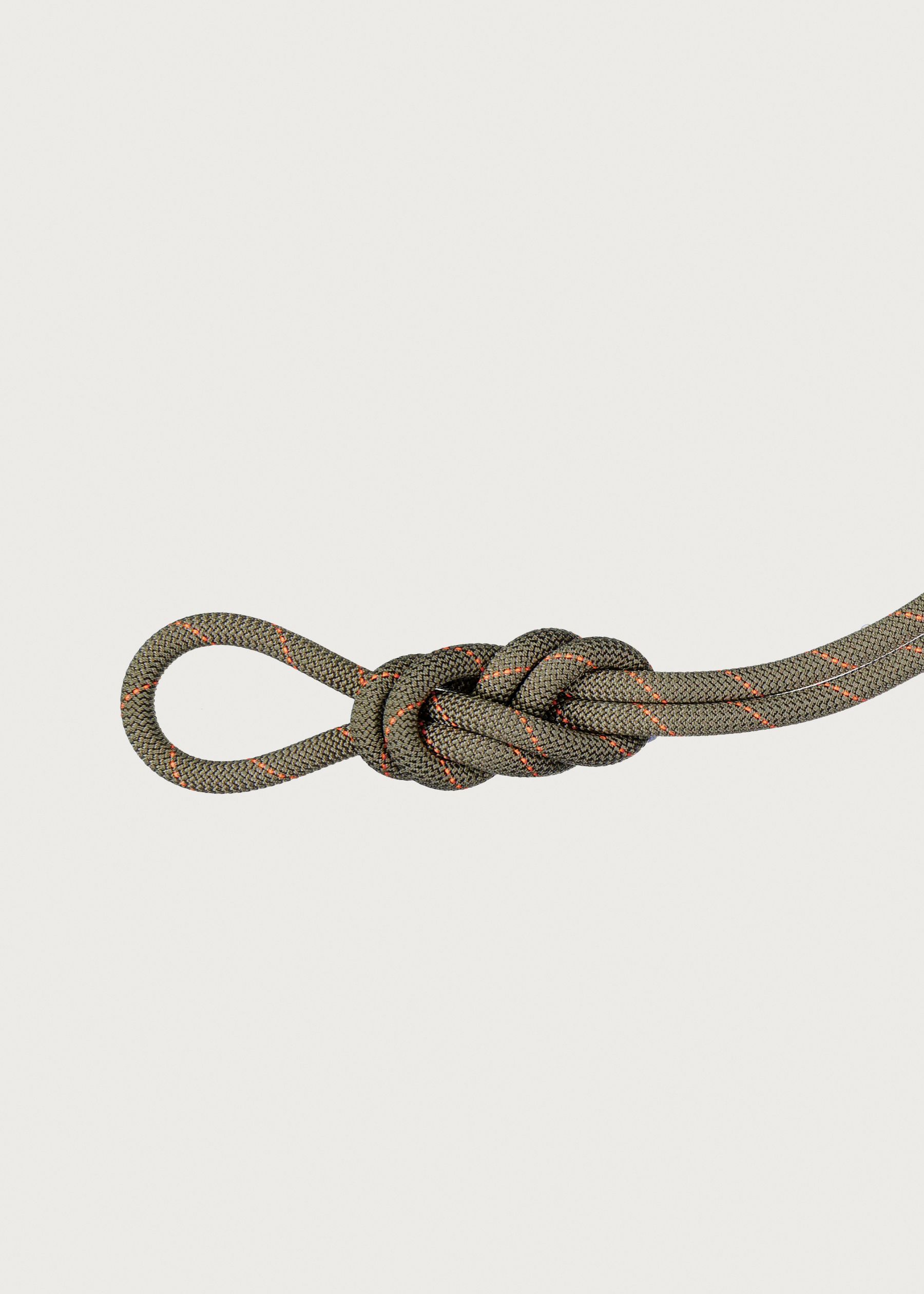 Image - 1 - Gym Workhorse 9.9mm x 40m Rope