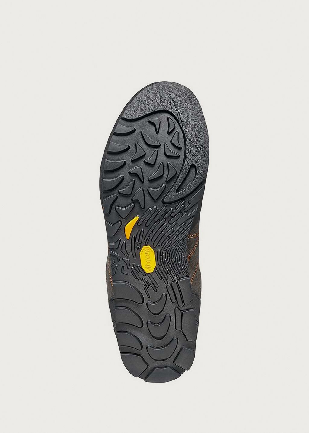 Scarpa Crux Approach Shoes
