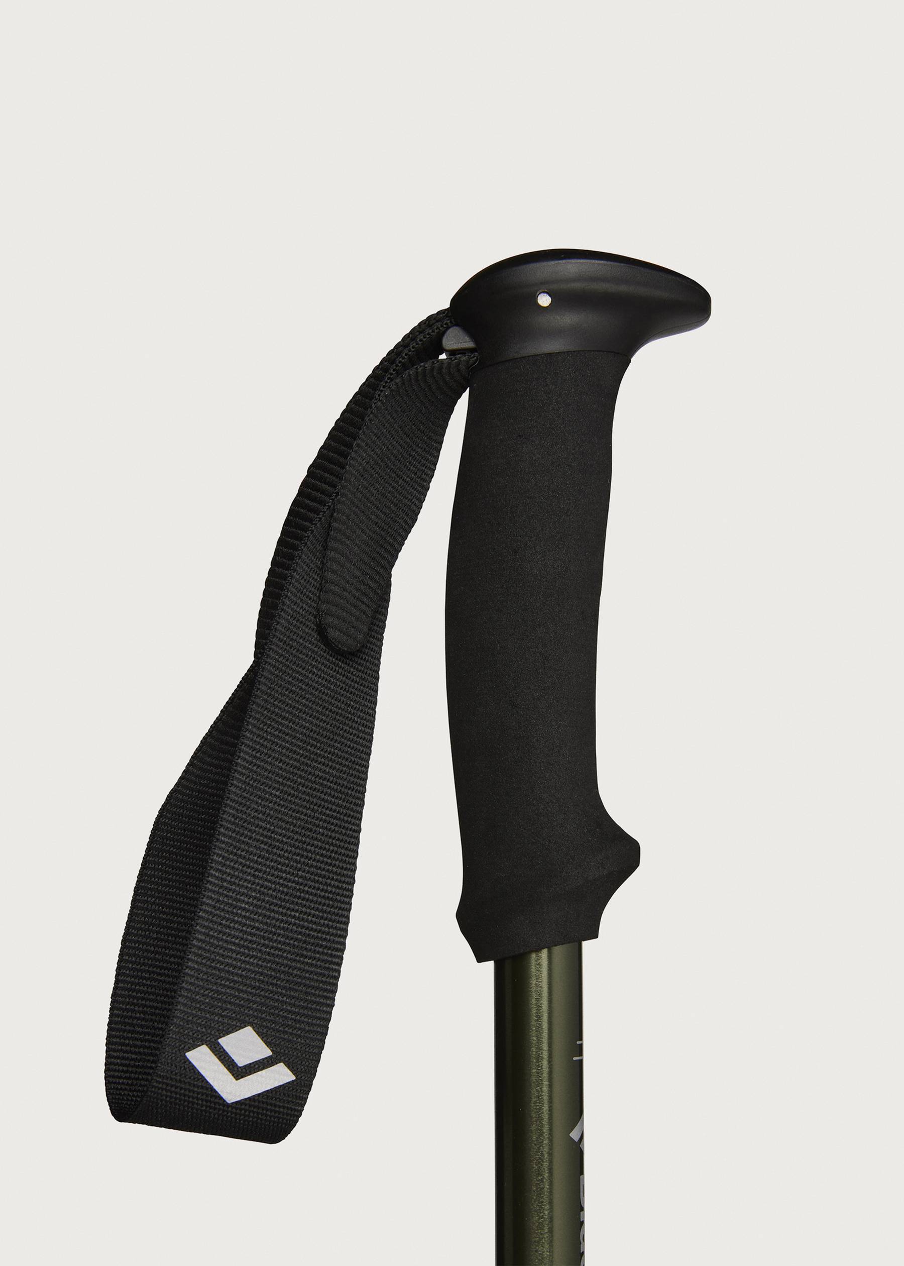 Image - 3 - Explorer 3 Walking Poles