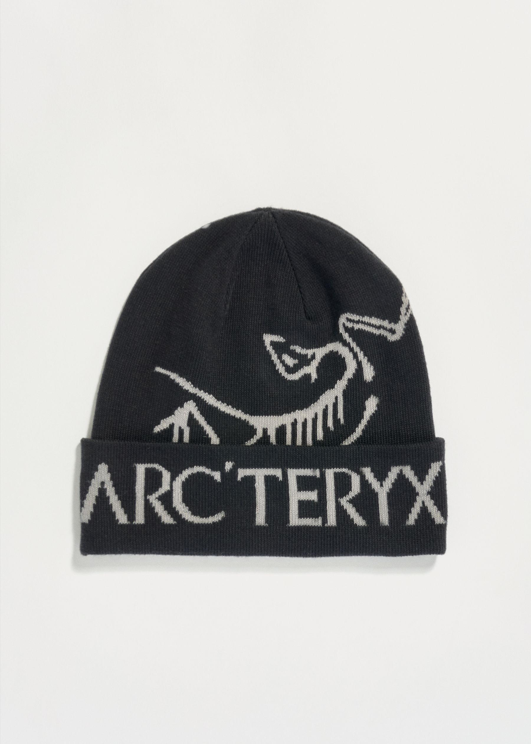 Image - 1 - Bird Word Toque Beanie