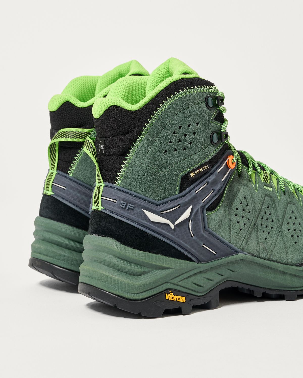 Salewa 3F system
