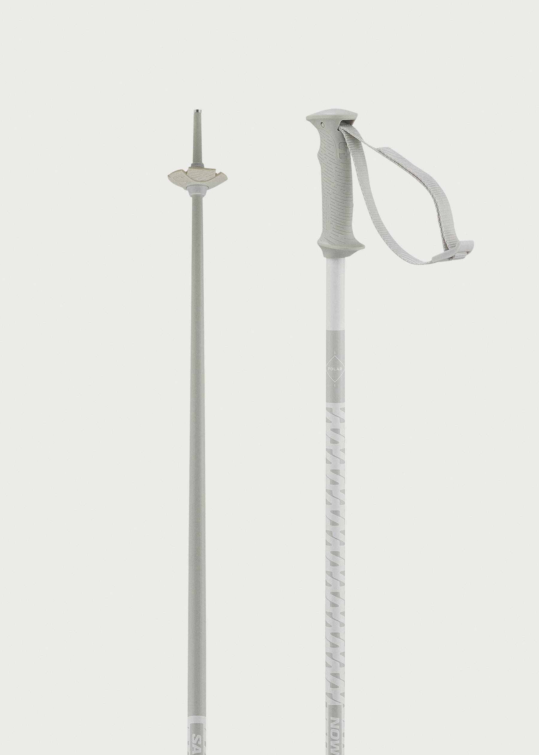 Image - 3 - Polar Access Ski Poles