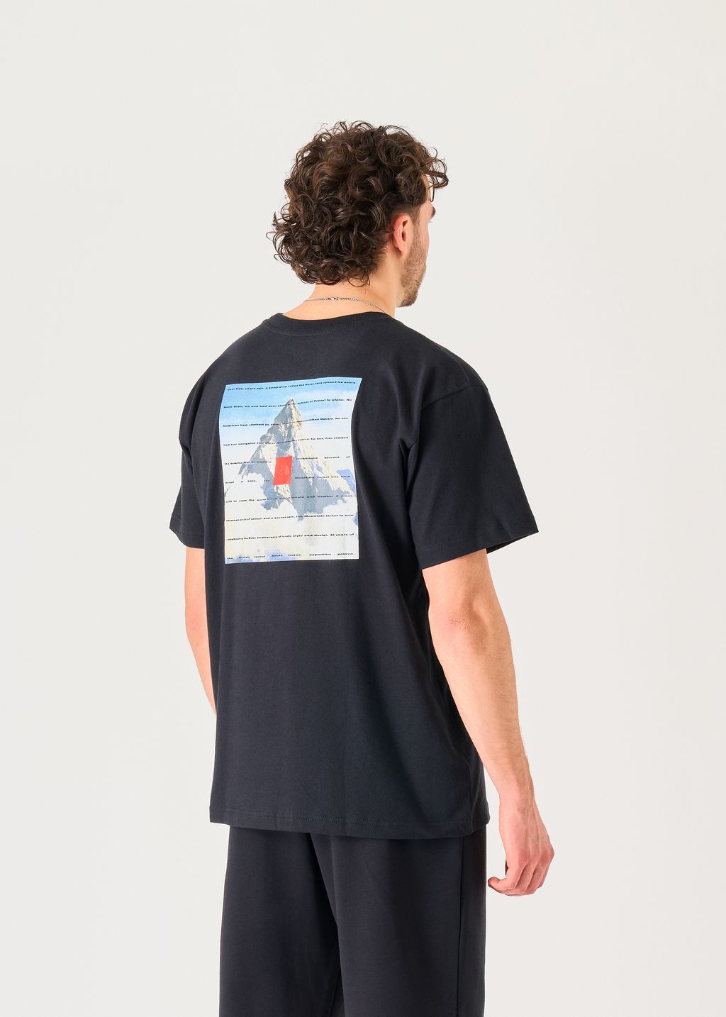 The North Face 40th Anniversary Mountain Jacket Heavyweight Tee