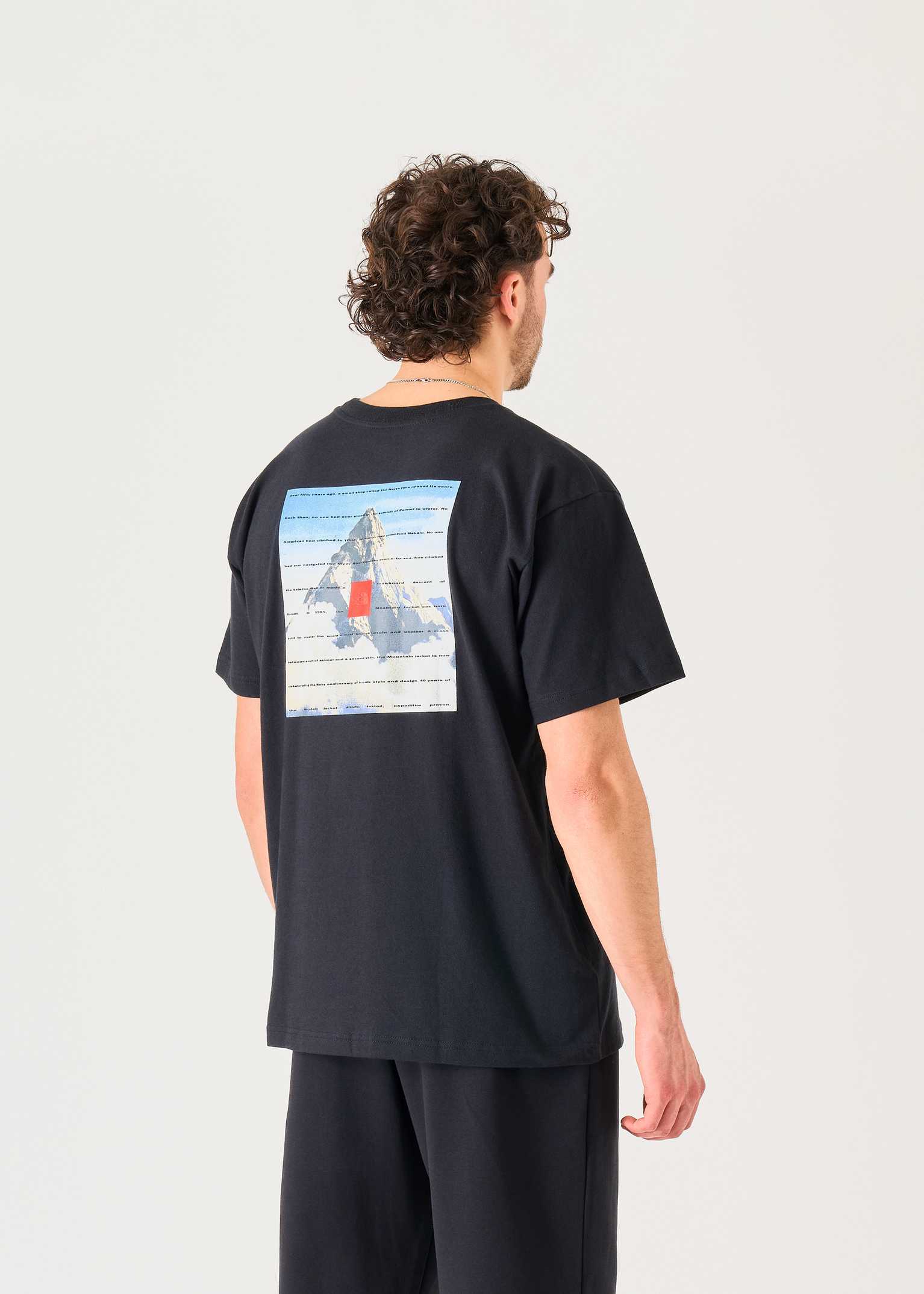 Tシャツ・カットソー 25SS THE NORTH FACE M'S 40TH ANNIVERSARY MOUNTAIN S/S R/TEE The North Face 40th Anniversary Mountain Jacket Heavyweight
