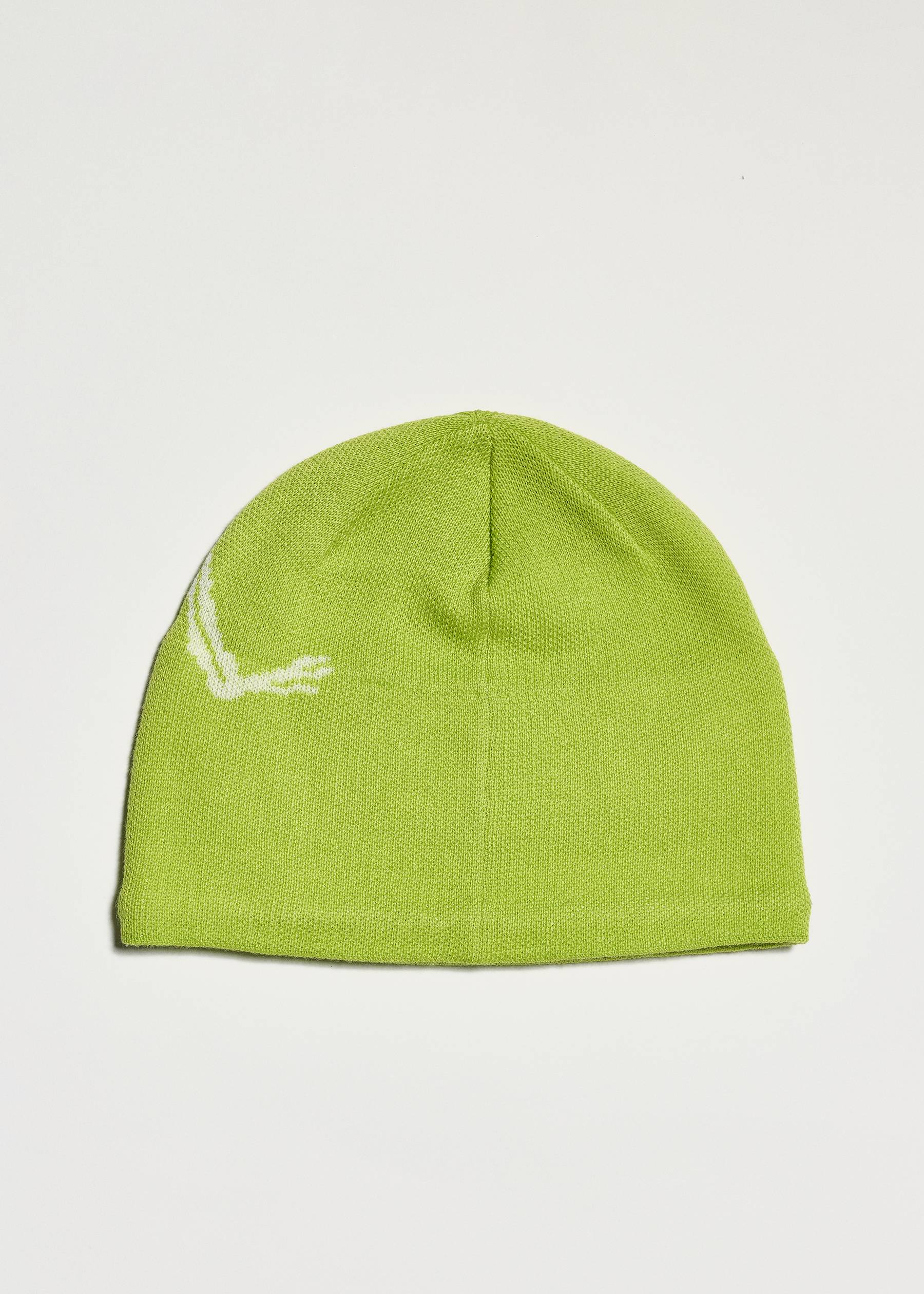 Arc'teryx Bird Head Toque