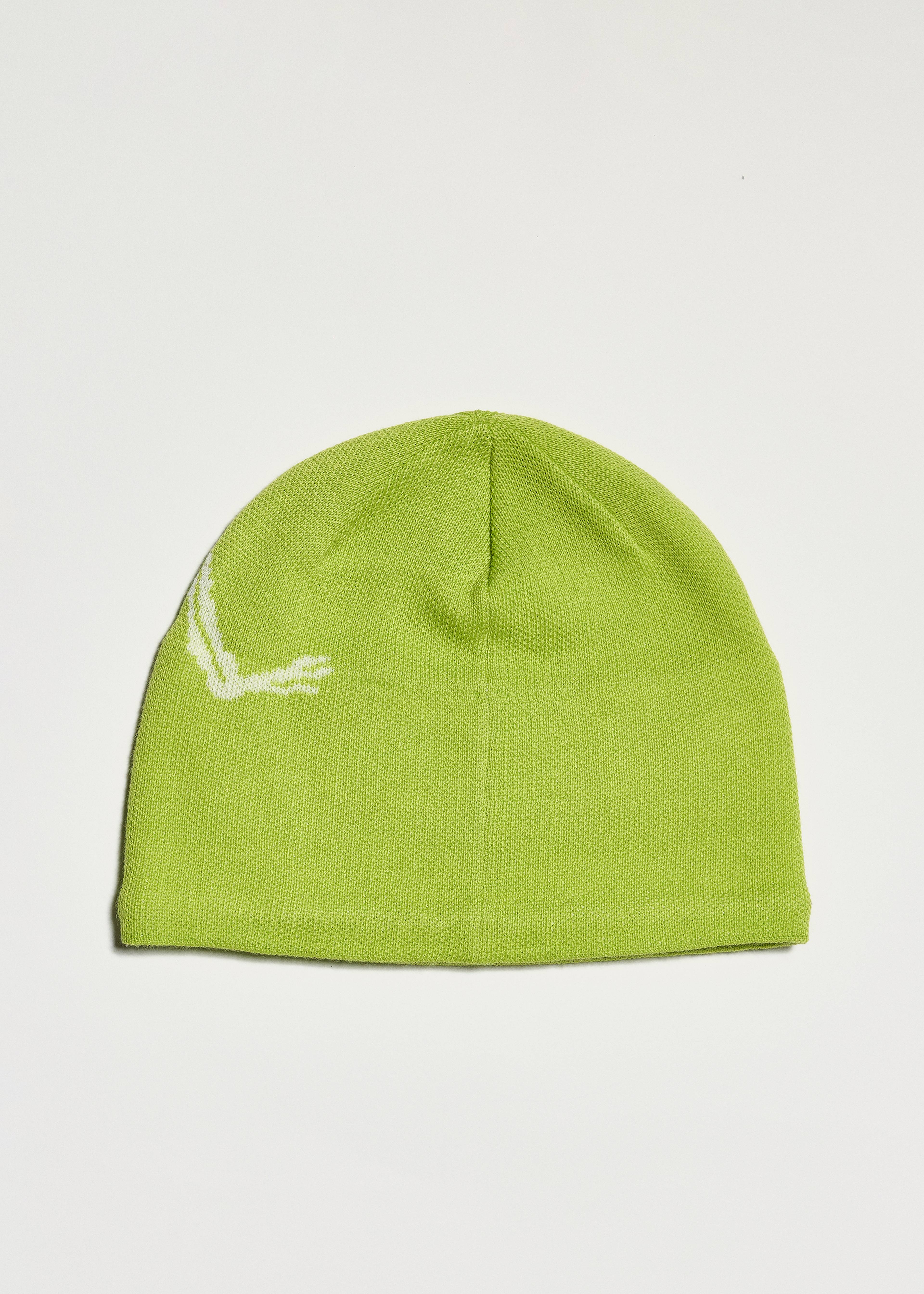 Arc'teryx Bird Head Toque