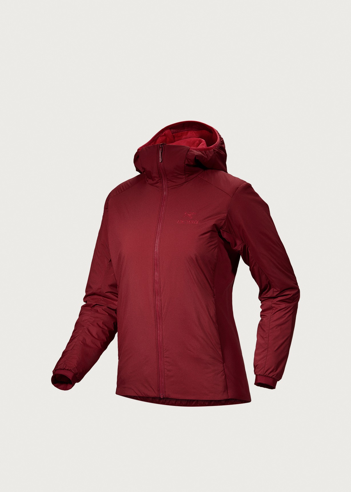 Arc'teryx Atom Hoodie