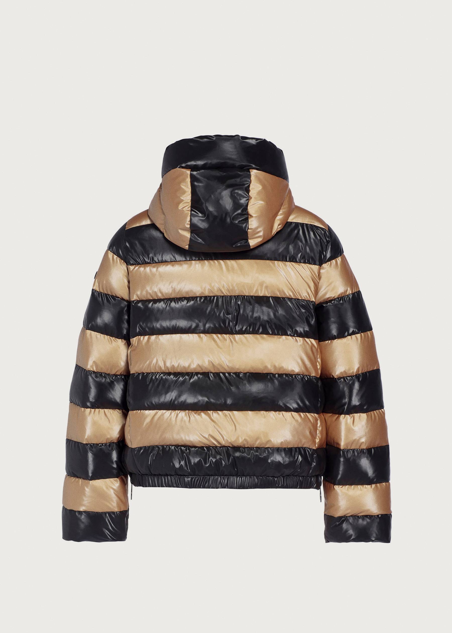 Image - 3 - Dazzle Jacket