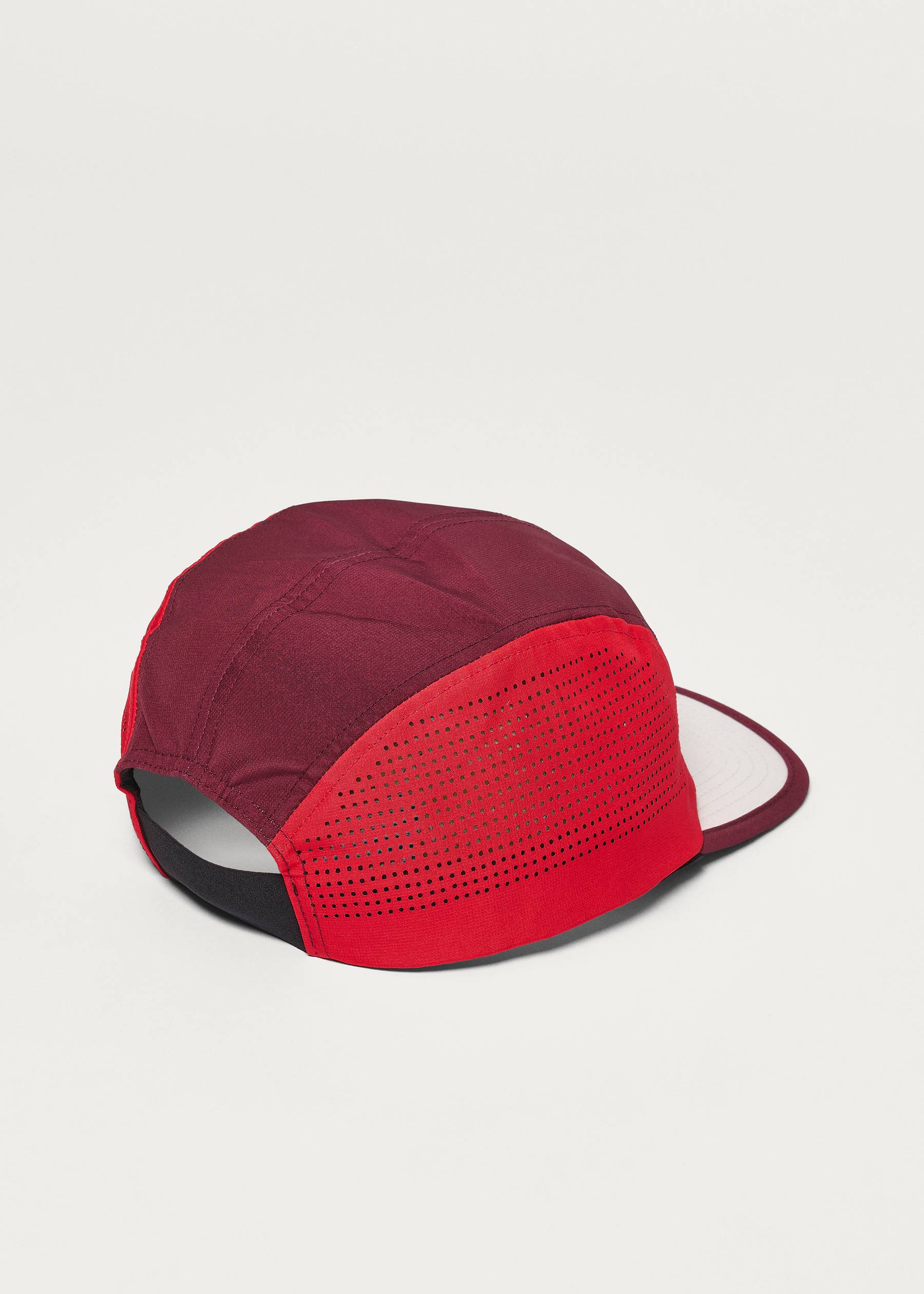 Image - 3 - Skyline Cap