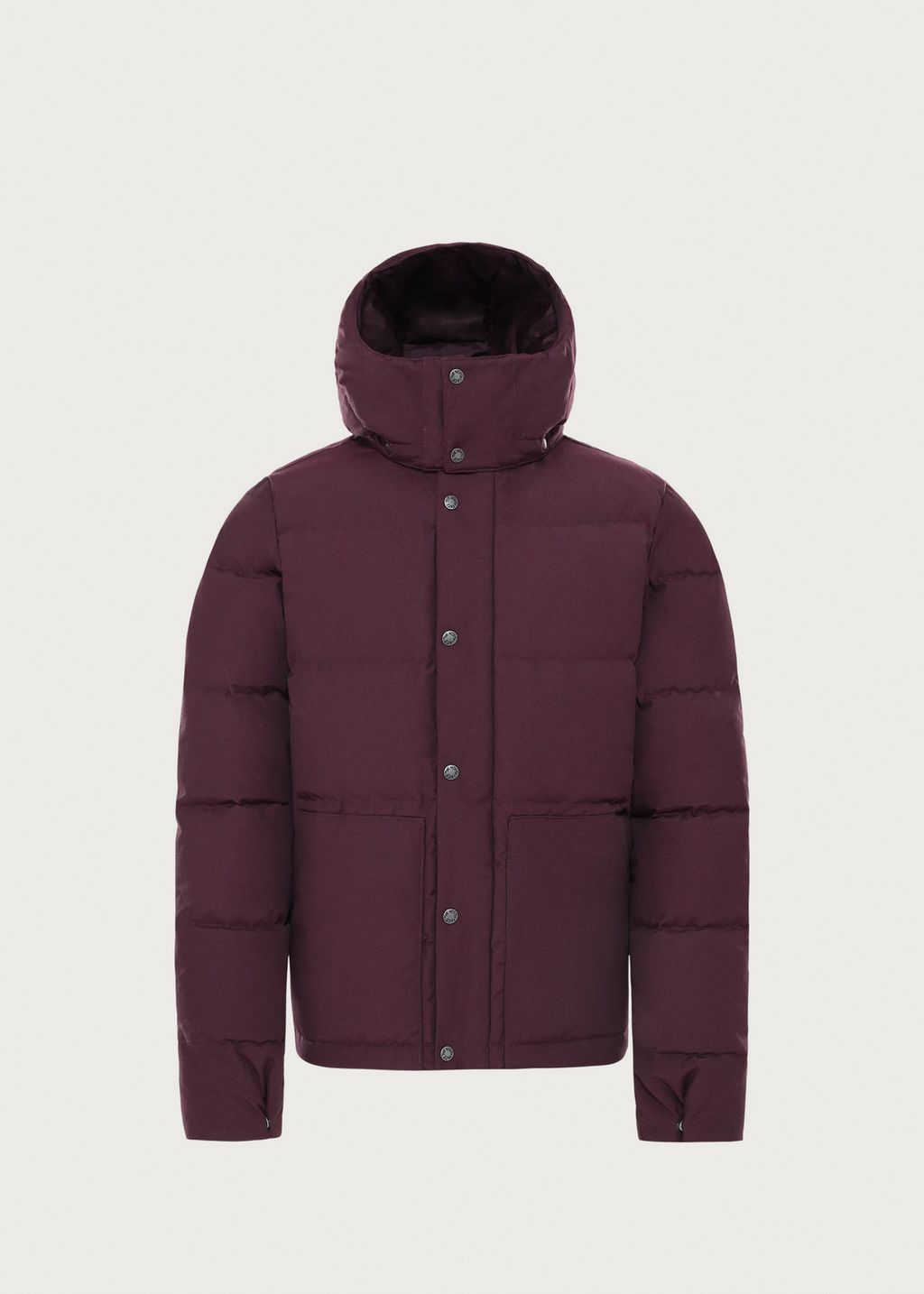 The North Face Box Canyon Jacket
