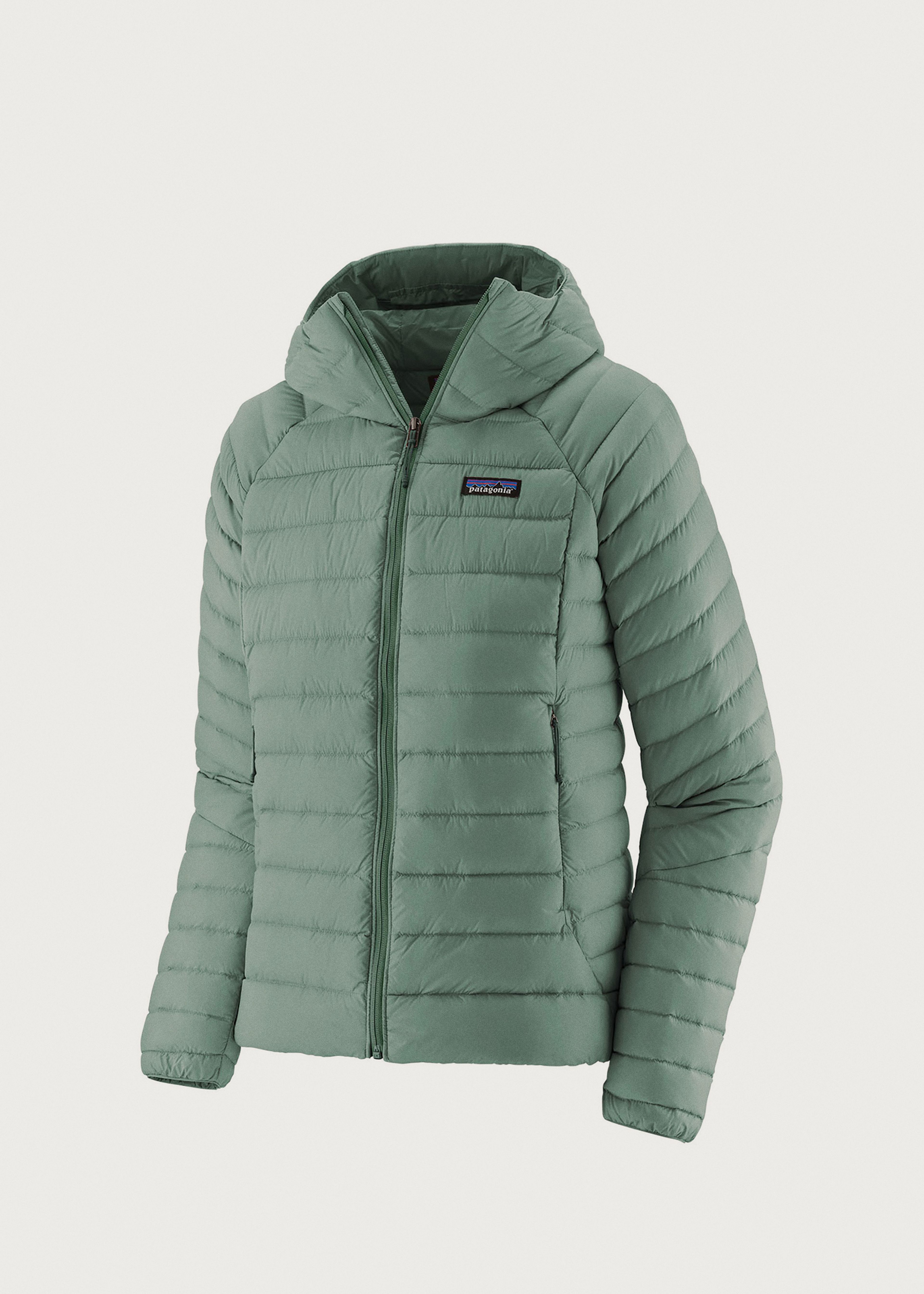 Patagonia Down Sweater Hoodie