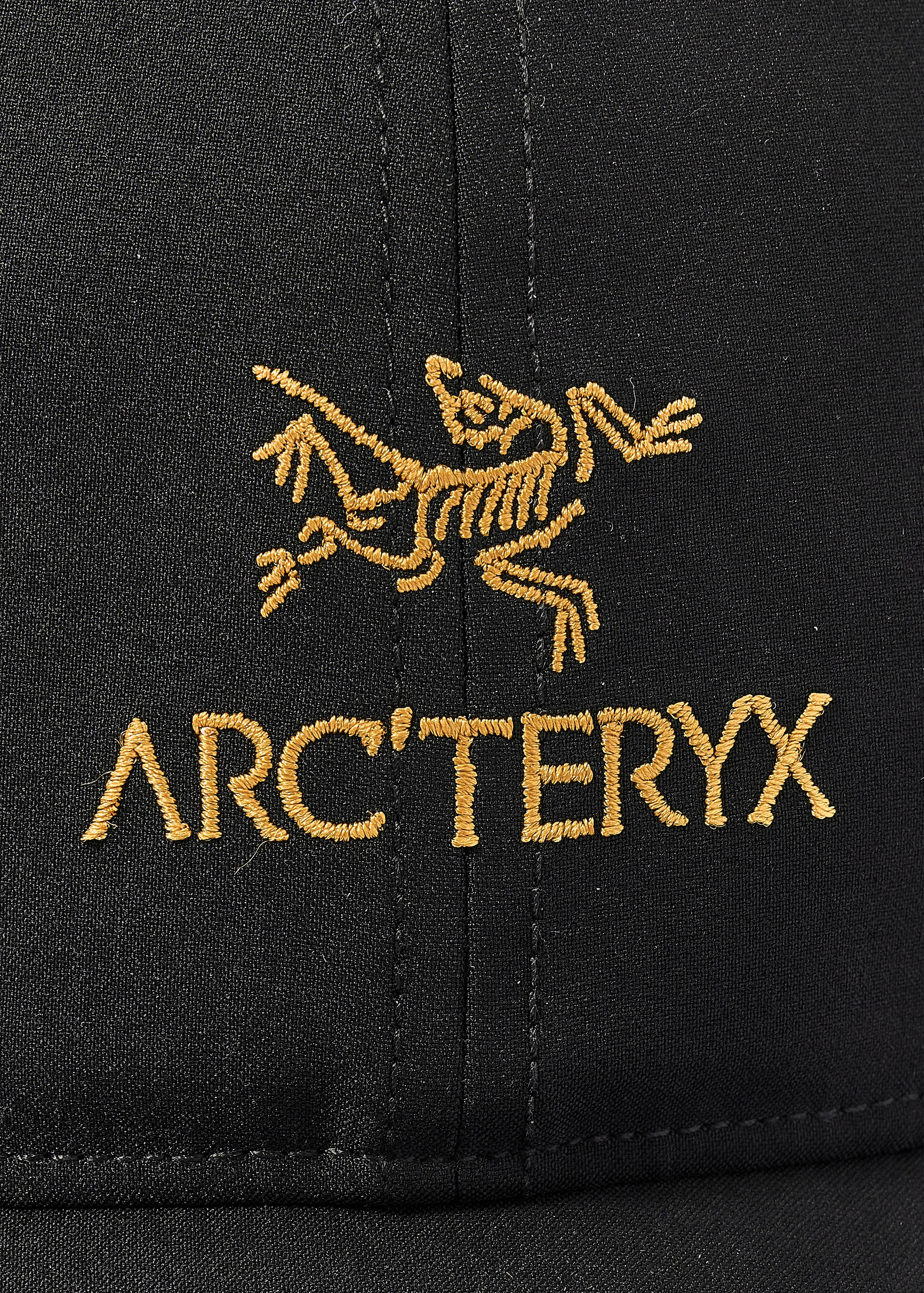 Arc'teryx Bird Word Cap