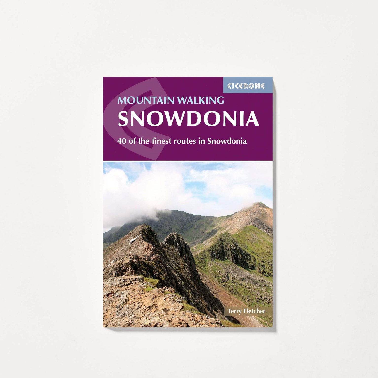 Image of Guide book