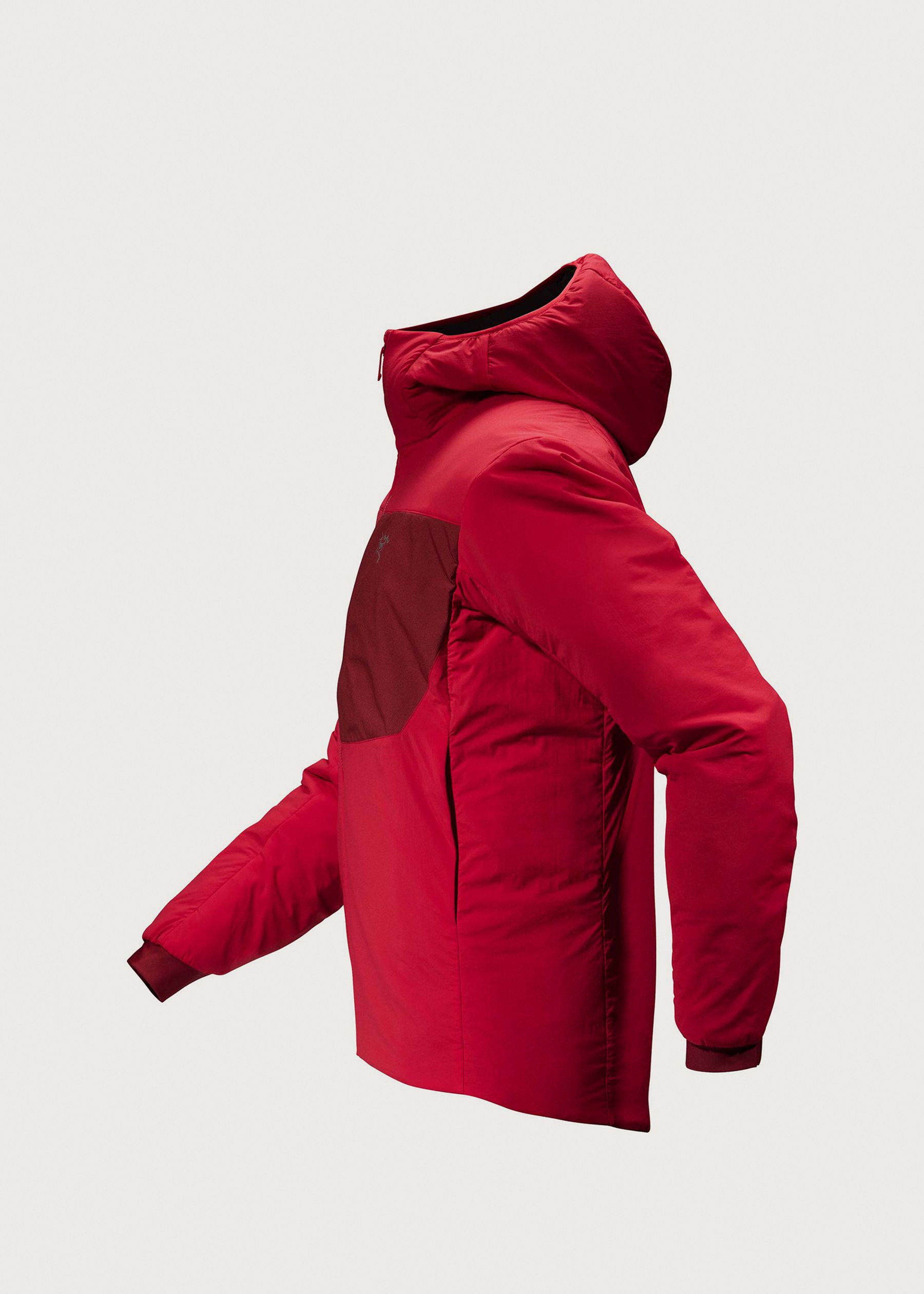 Image - 1 - Proton Hoodie