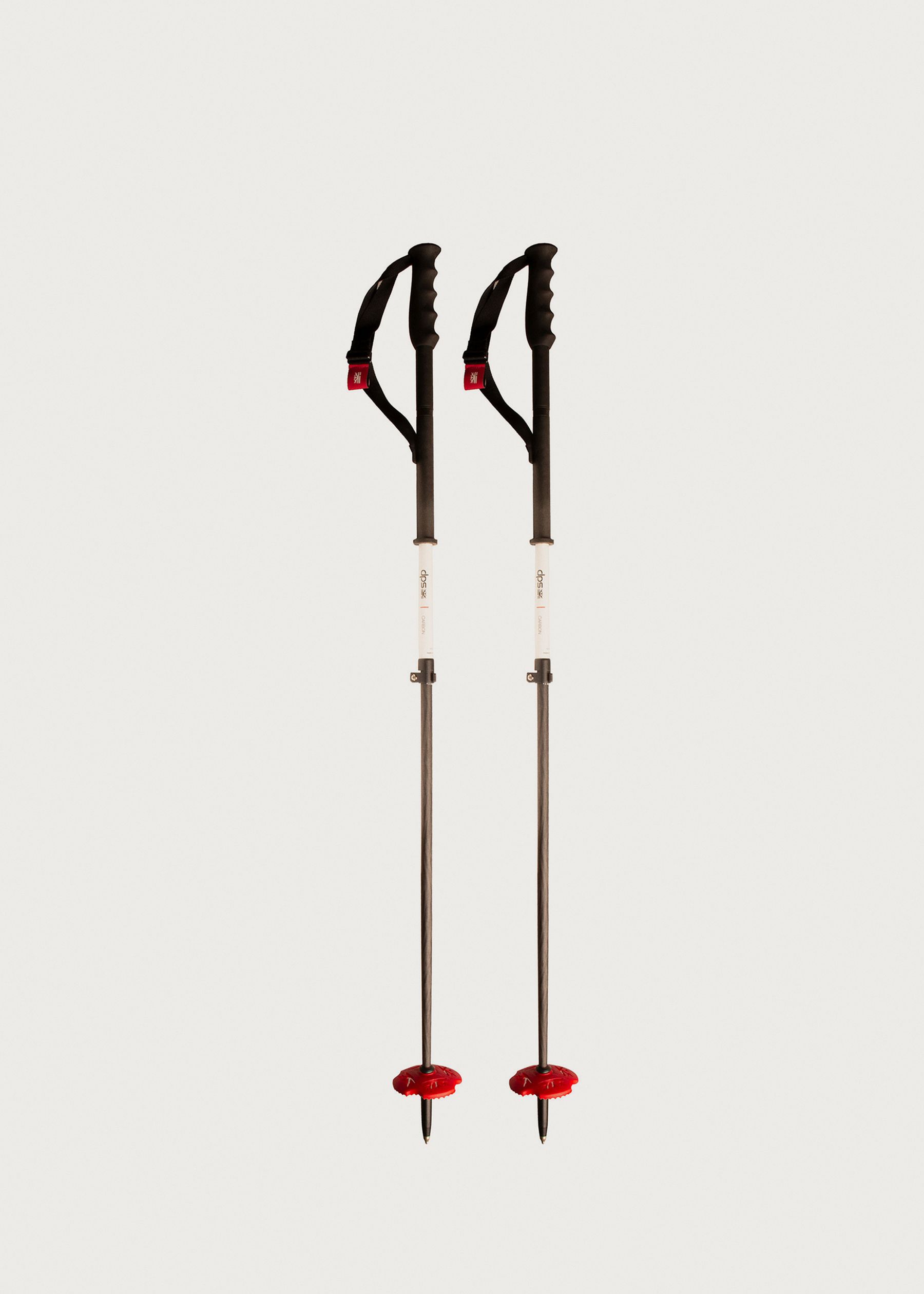 Image - 1 - Carbon Tour Ski Poles