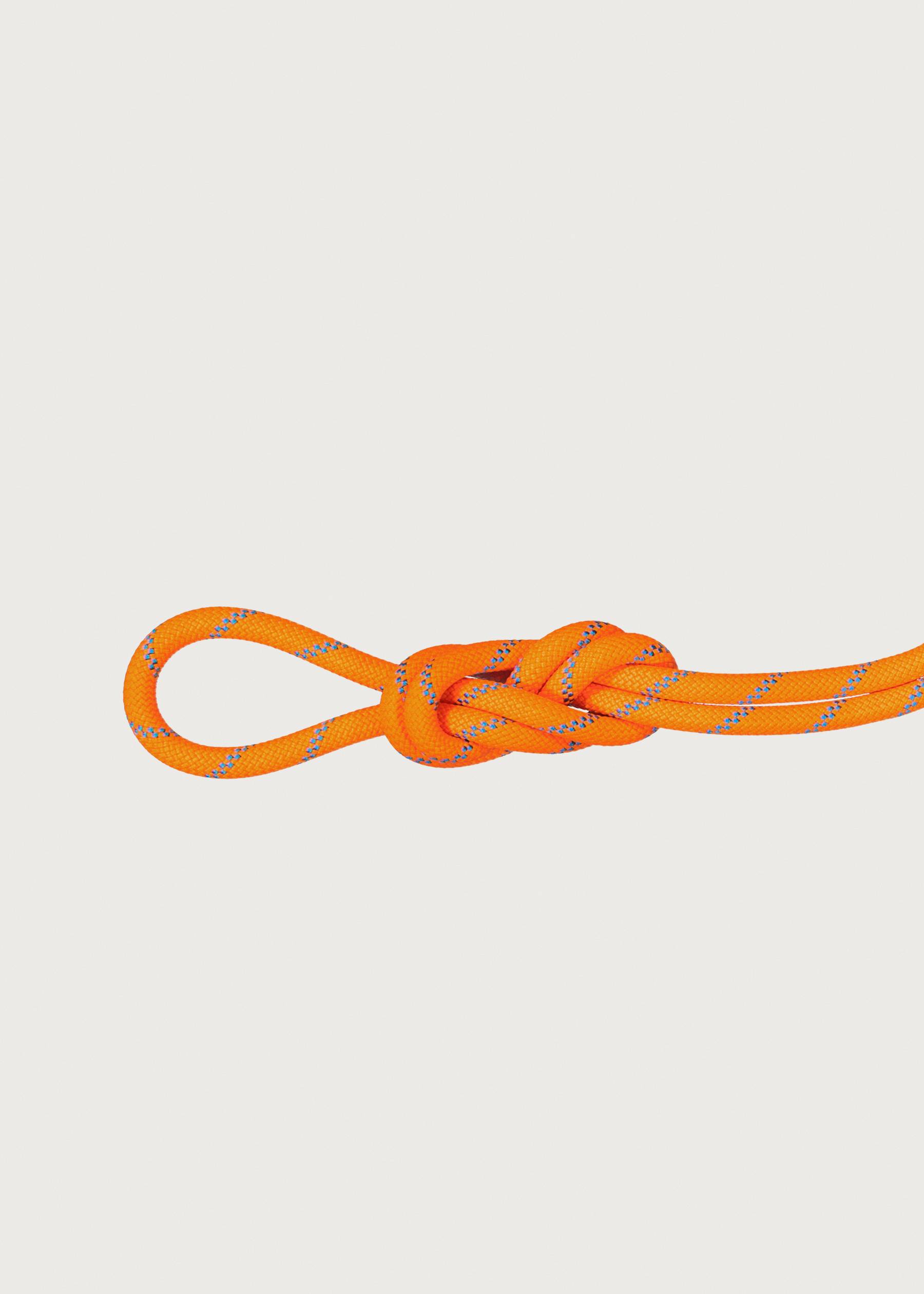 Image - 3 - Alpine Sender Dry 8.7 x 60 Rope