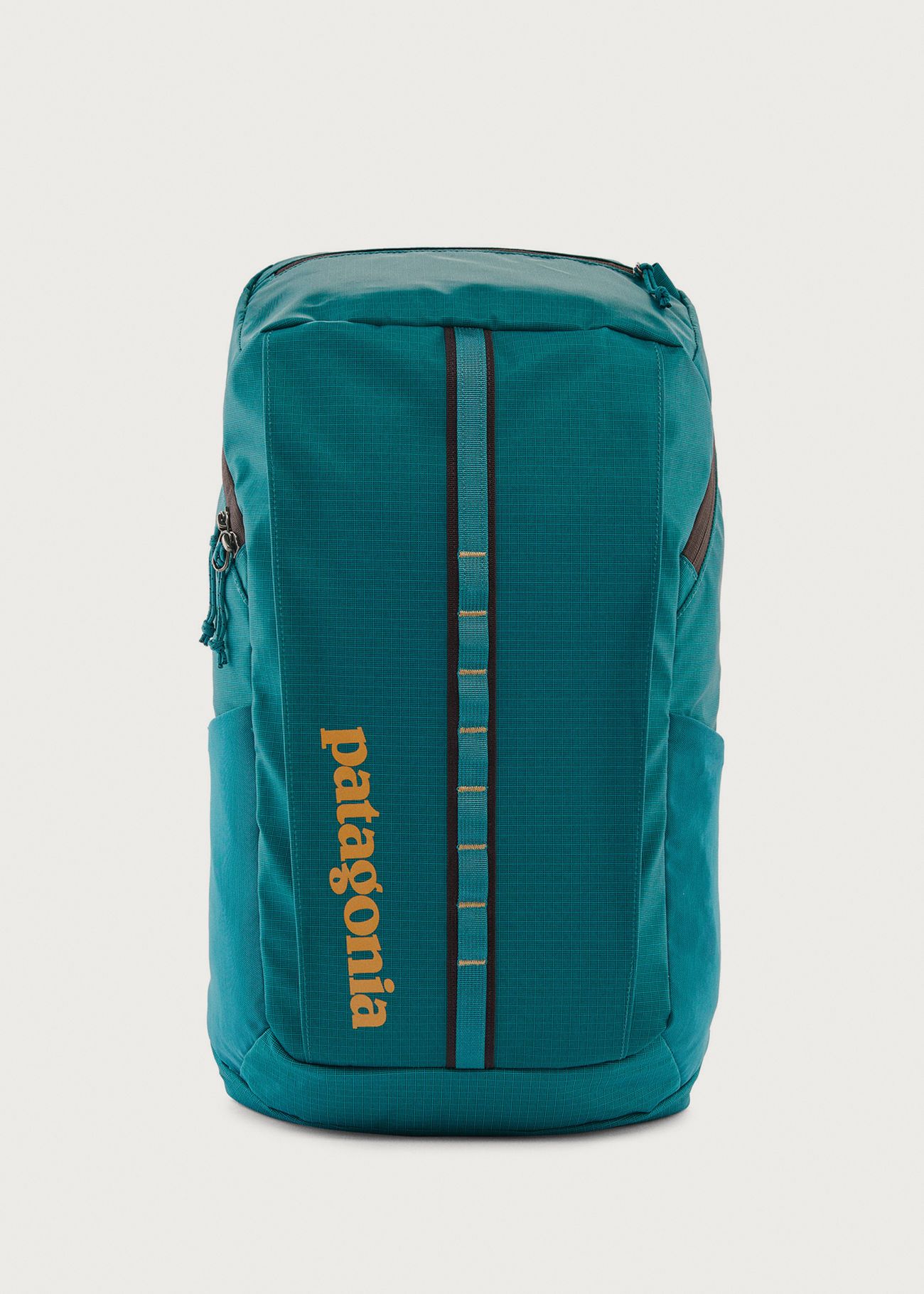 Patagonia Black Hole Pack 25L